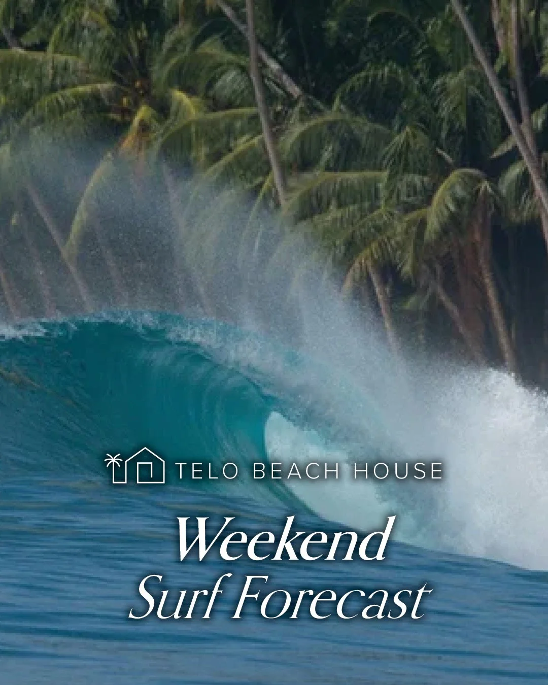 Blue bird conditions this weekend in the Telos with good medium size swell hitting our reefs, see full report below 👇
Friday, 10 Apr 2026
&bull; Wave Height: ~ 1.5&ndash;1.9 m (&asymp; 5&ndash;6 ft)
&bull; Swell Direction: SSW (&asymp; 205&ndash;210