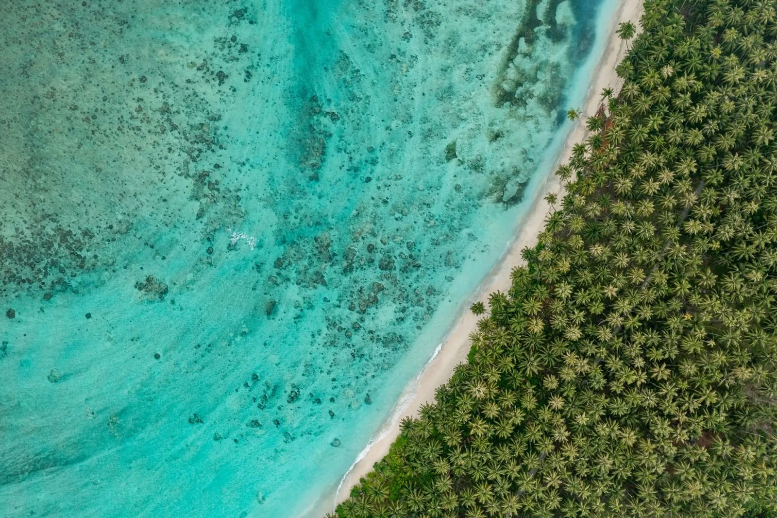 Come get tropical at Telo Beach House!

Visit www.telobeachhouse.com to secure your spot.

#TeloBeachHouse #TeloIslands #SurfTrip2026 #UncrowdedWaves #TropicalEscape