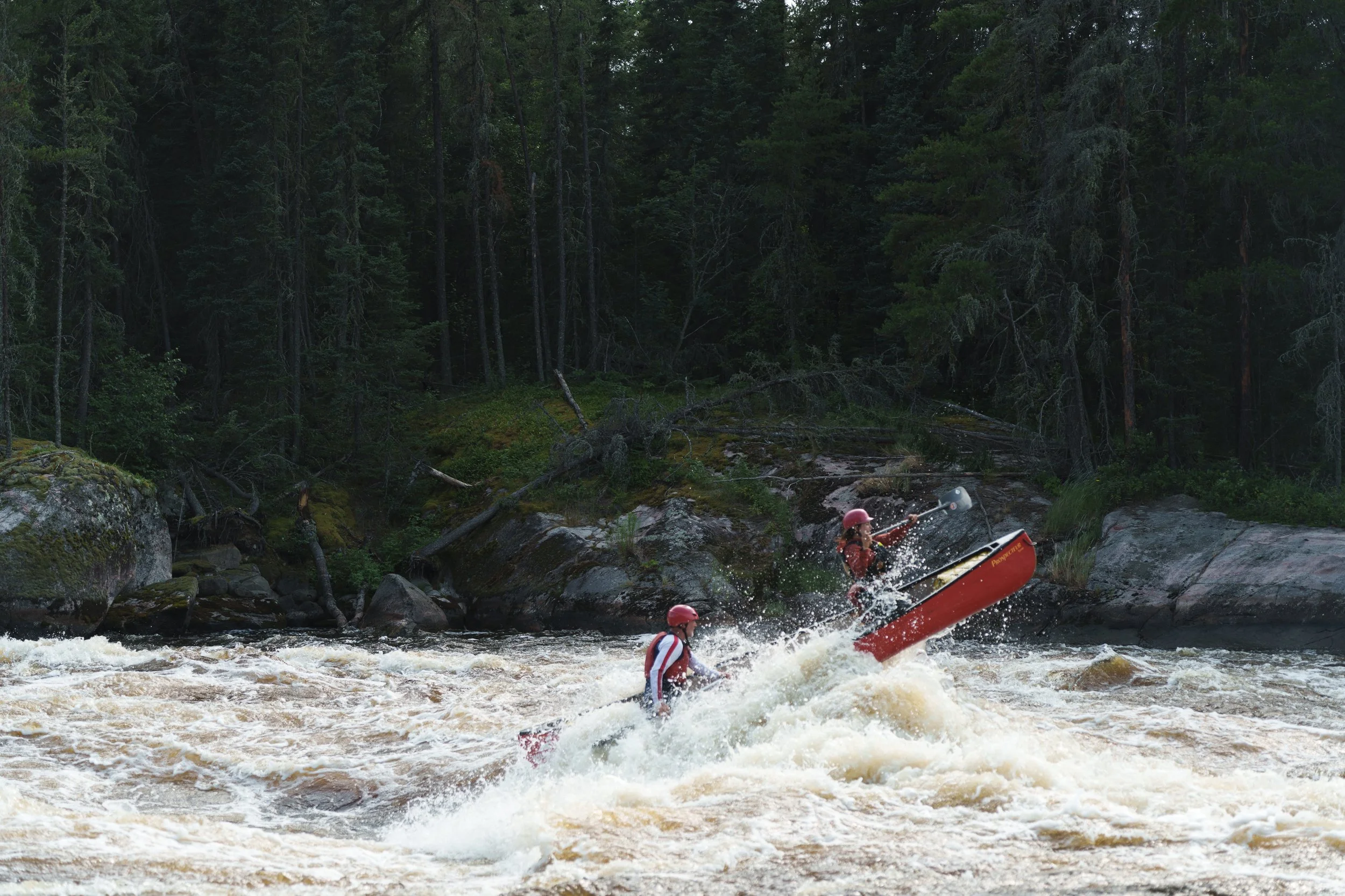 -WildHouseMedia12_DSC2825.jpg