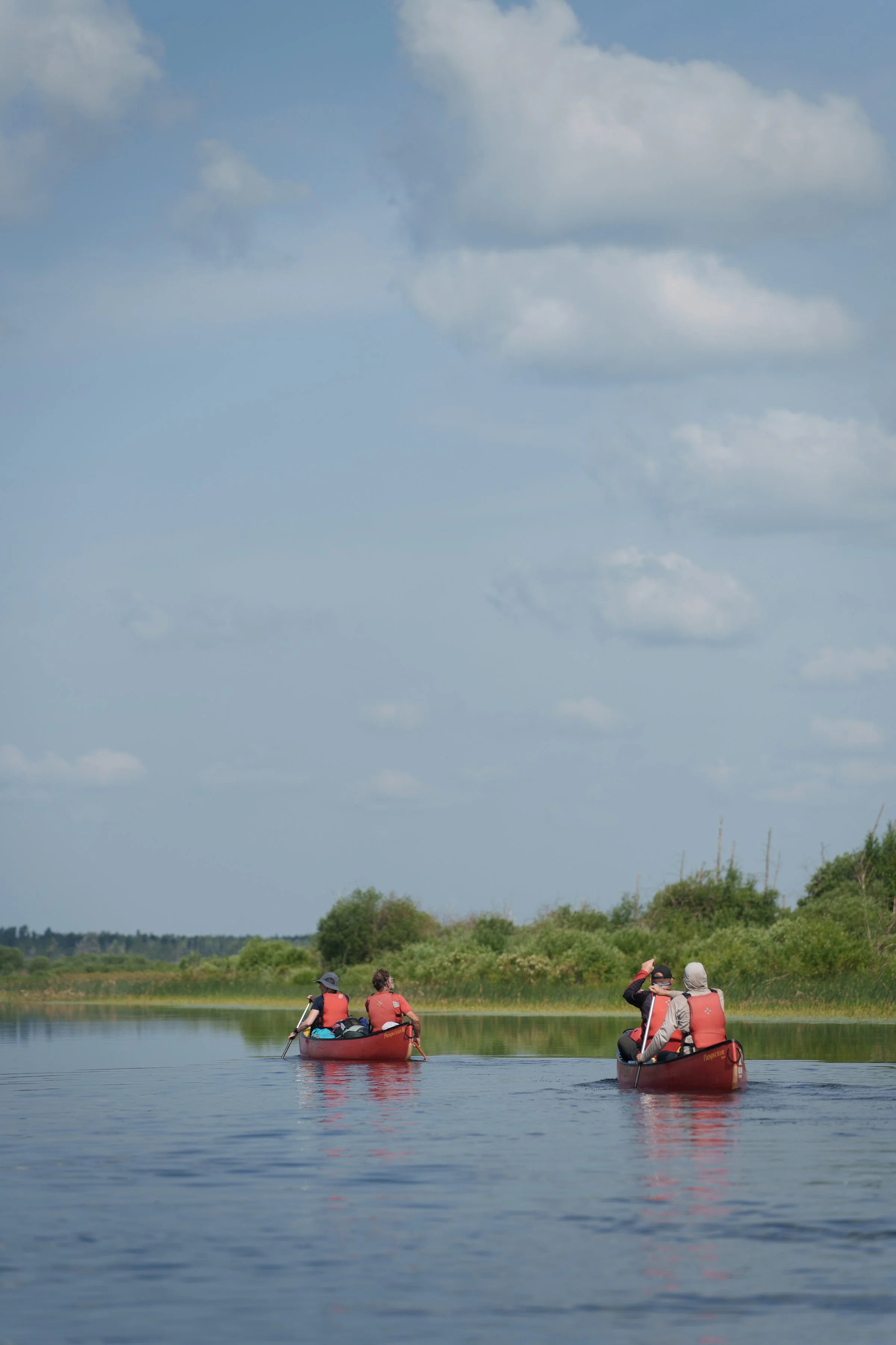-WildHouseMedia9_DSC2715.jpg