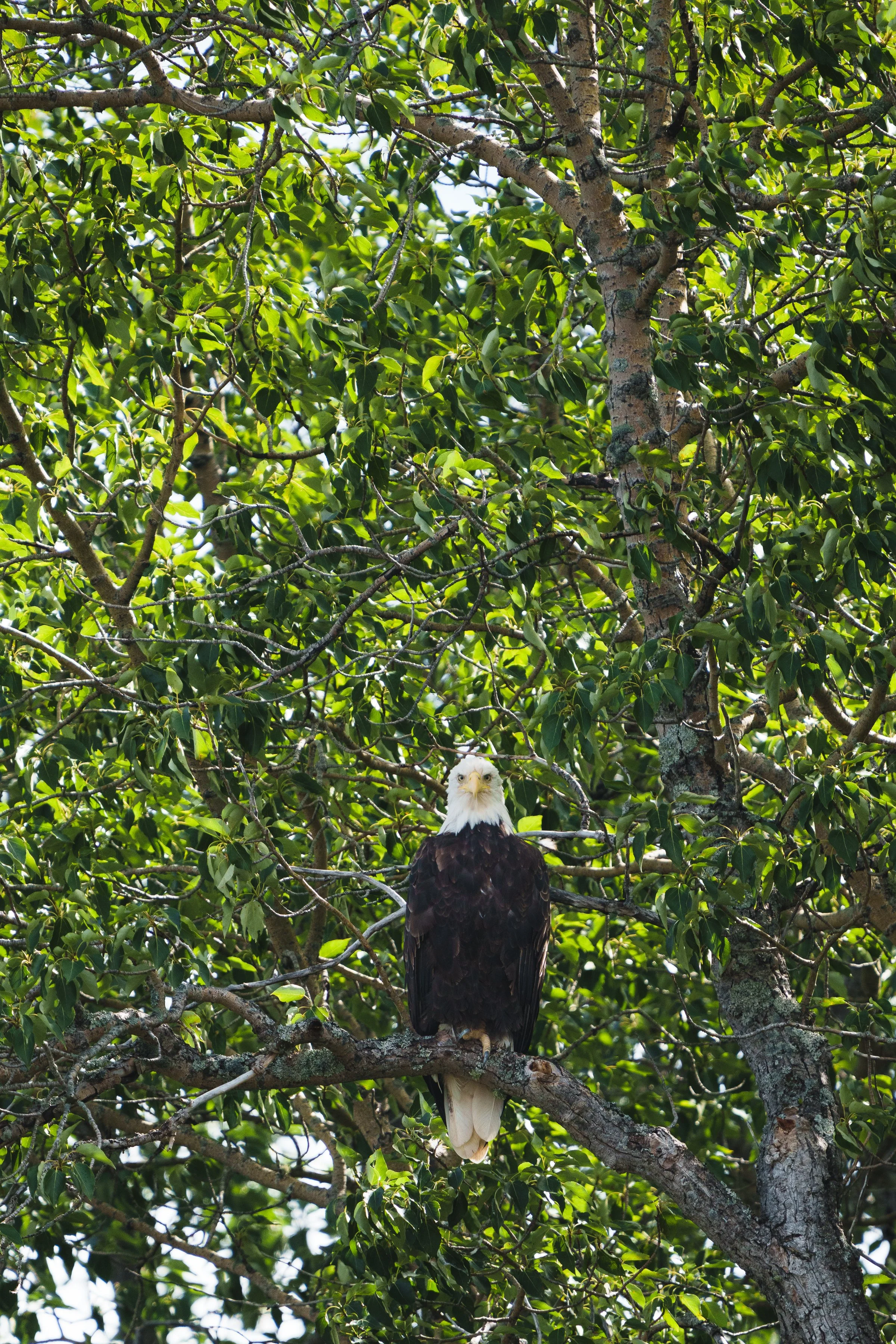 -WildHouseMedia13_DSC3789.jpg