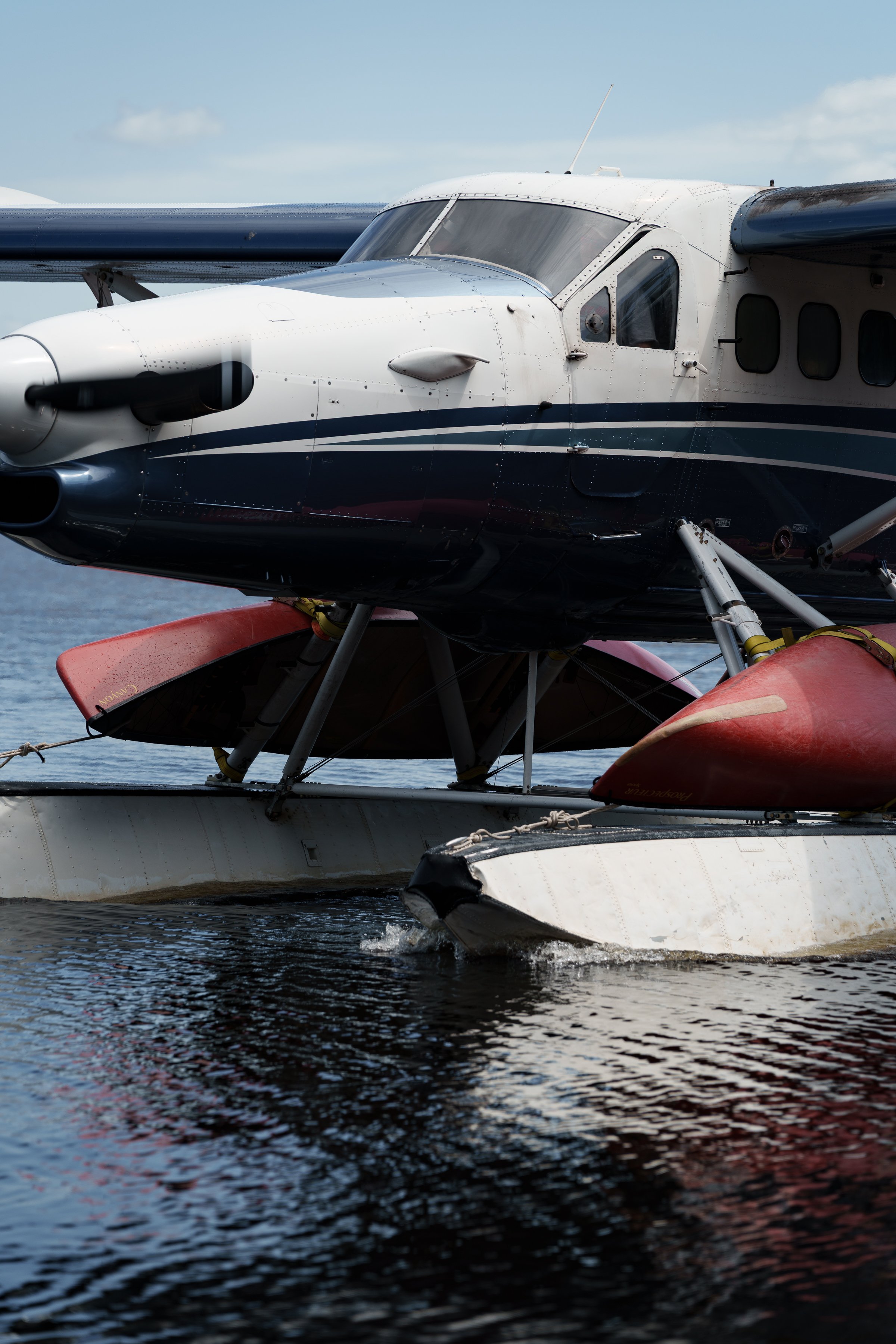 -WildHouseMedia1_DSC2393.jpg