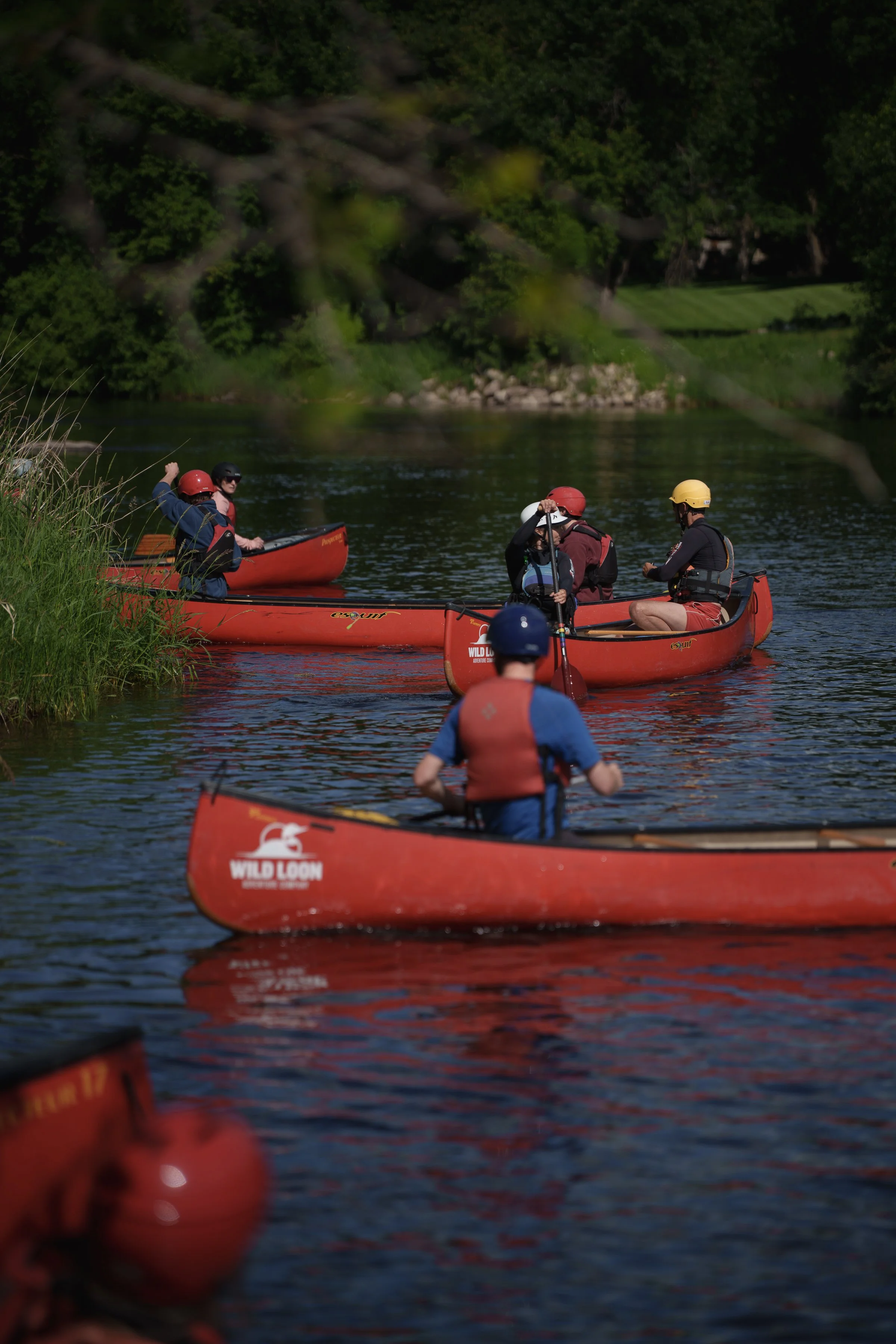 -WildHouseMedia5_DSC1438.jpg