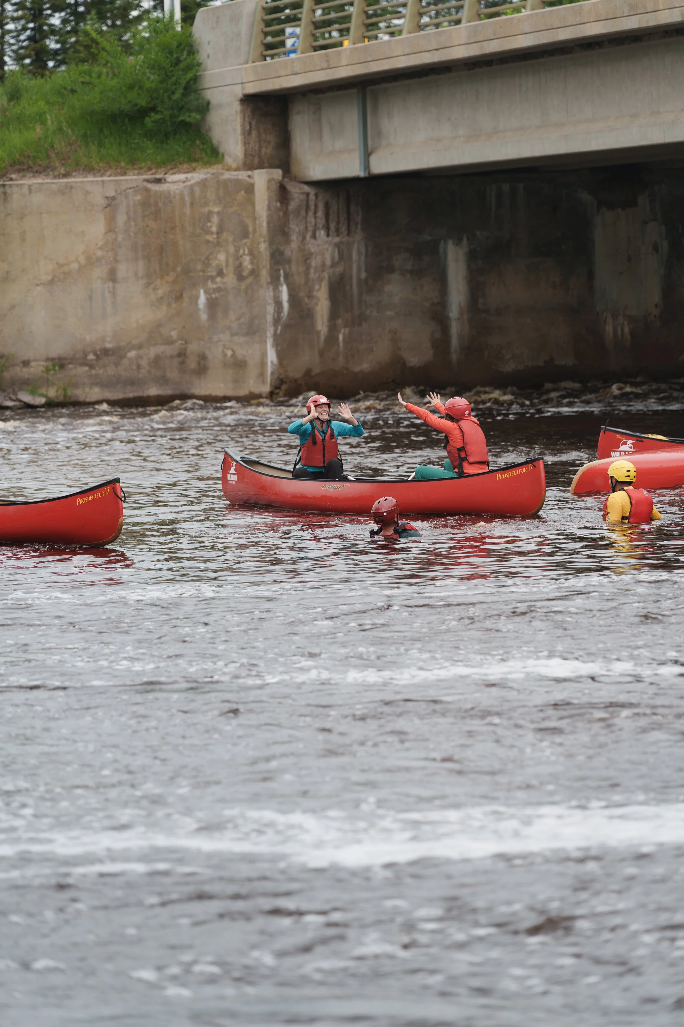 -WildHouseMedia9_DSC1577.jpg