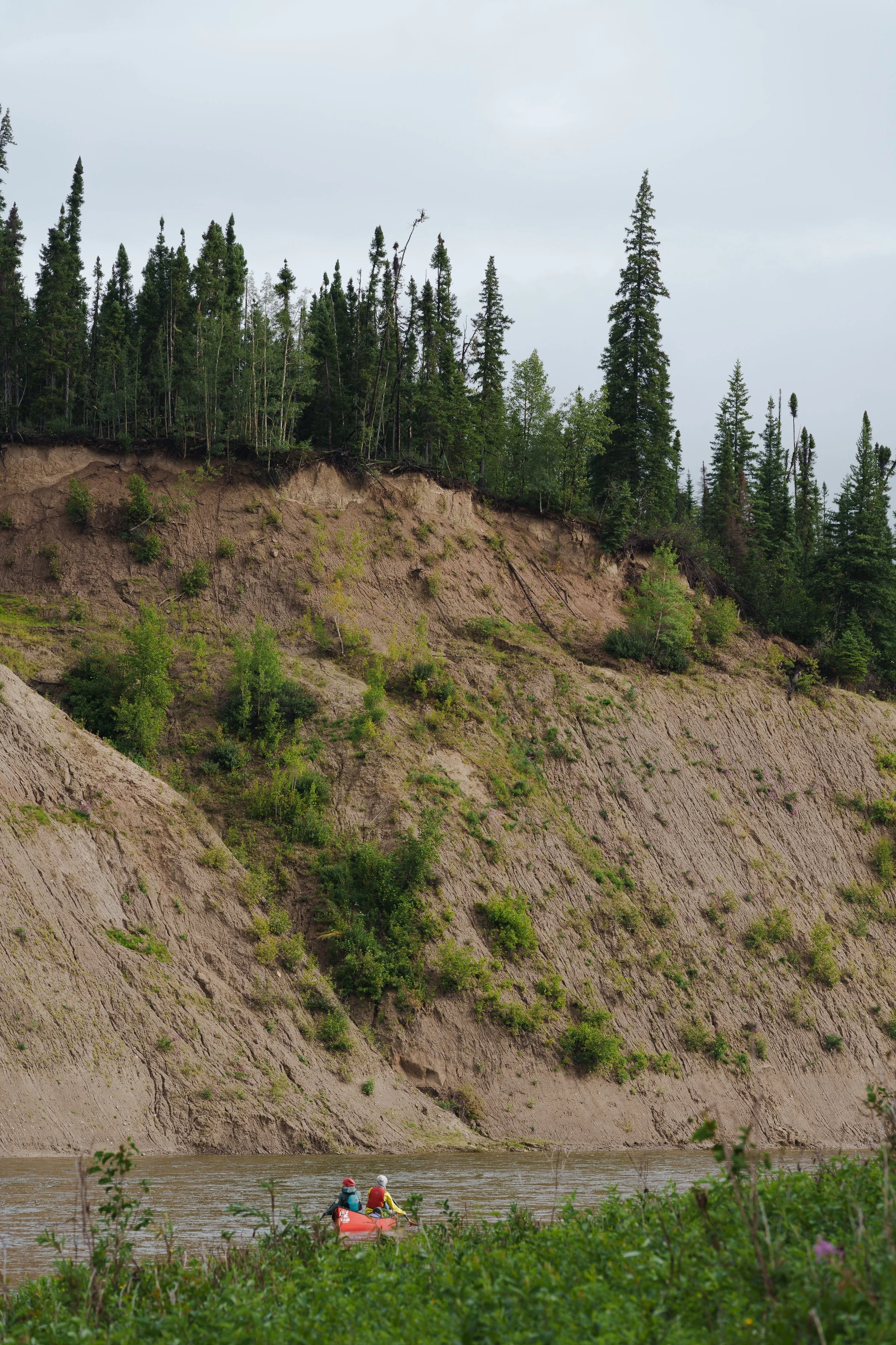 -WildHouseMedia7_DSC3664.jpg