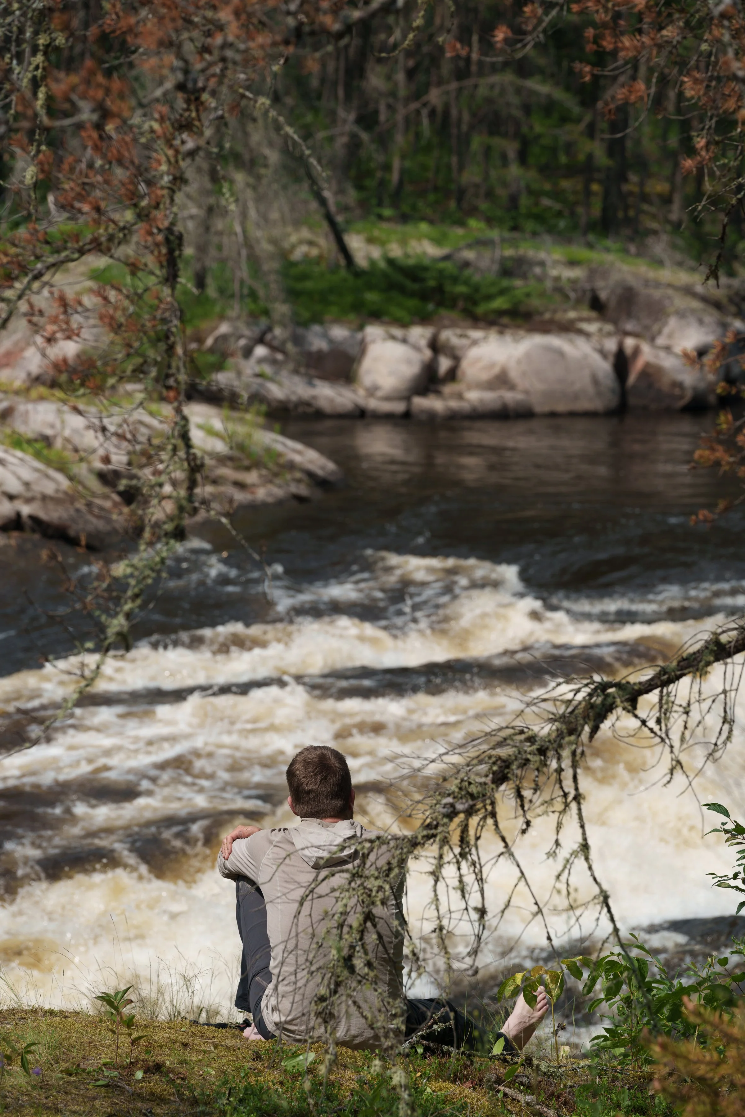 -WildHouseMedia7_DSC2584.jpg
