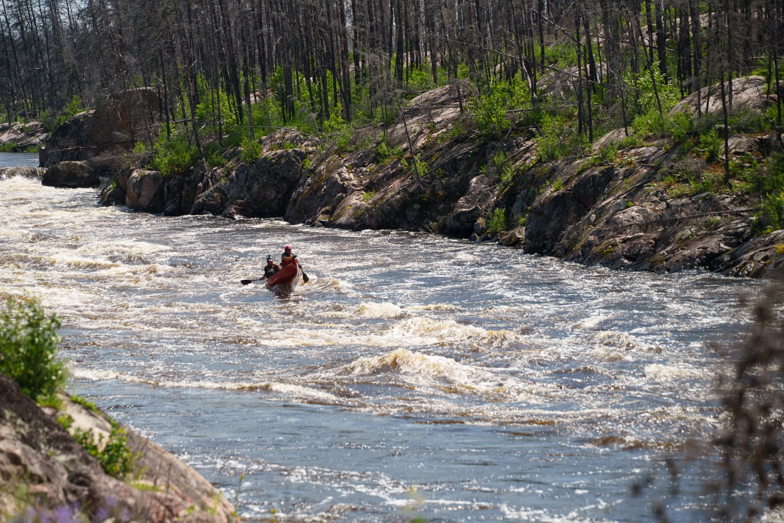 -WildHouseMedia111_DSC2286.jpg