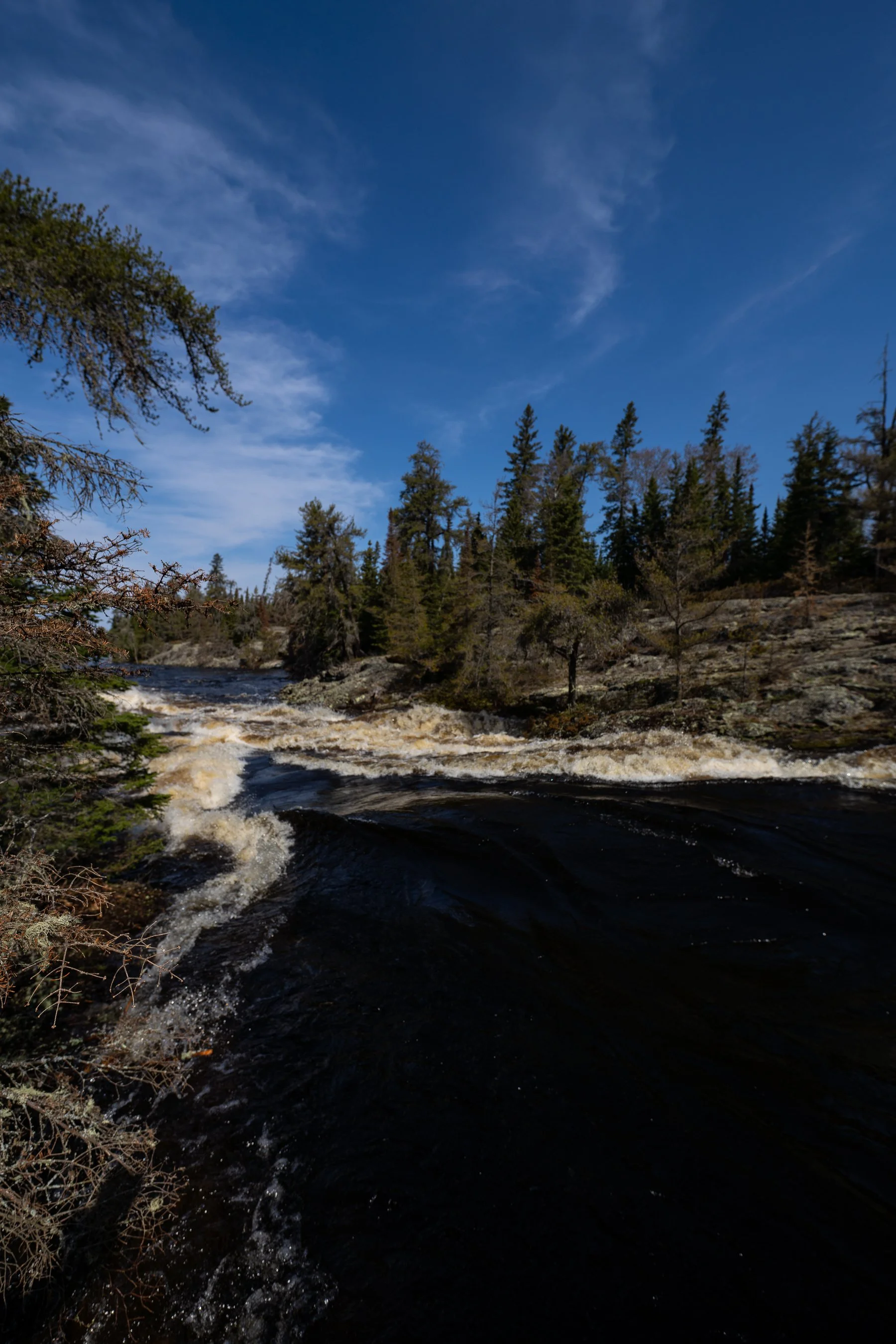 -WildHouseMedia2DSC06936.jpg