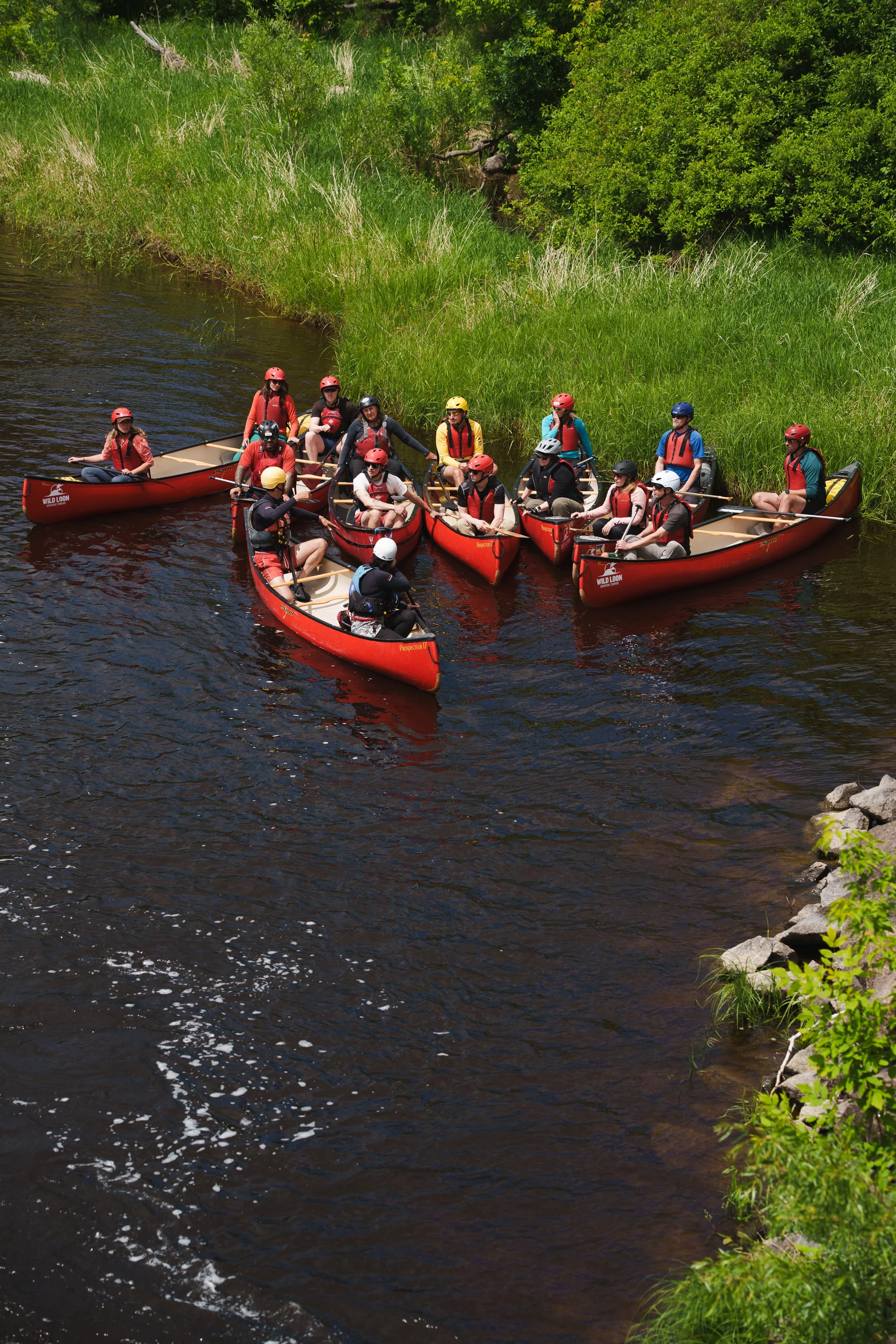 -WildHouseMedia7_DSC1483.jpg
