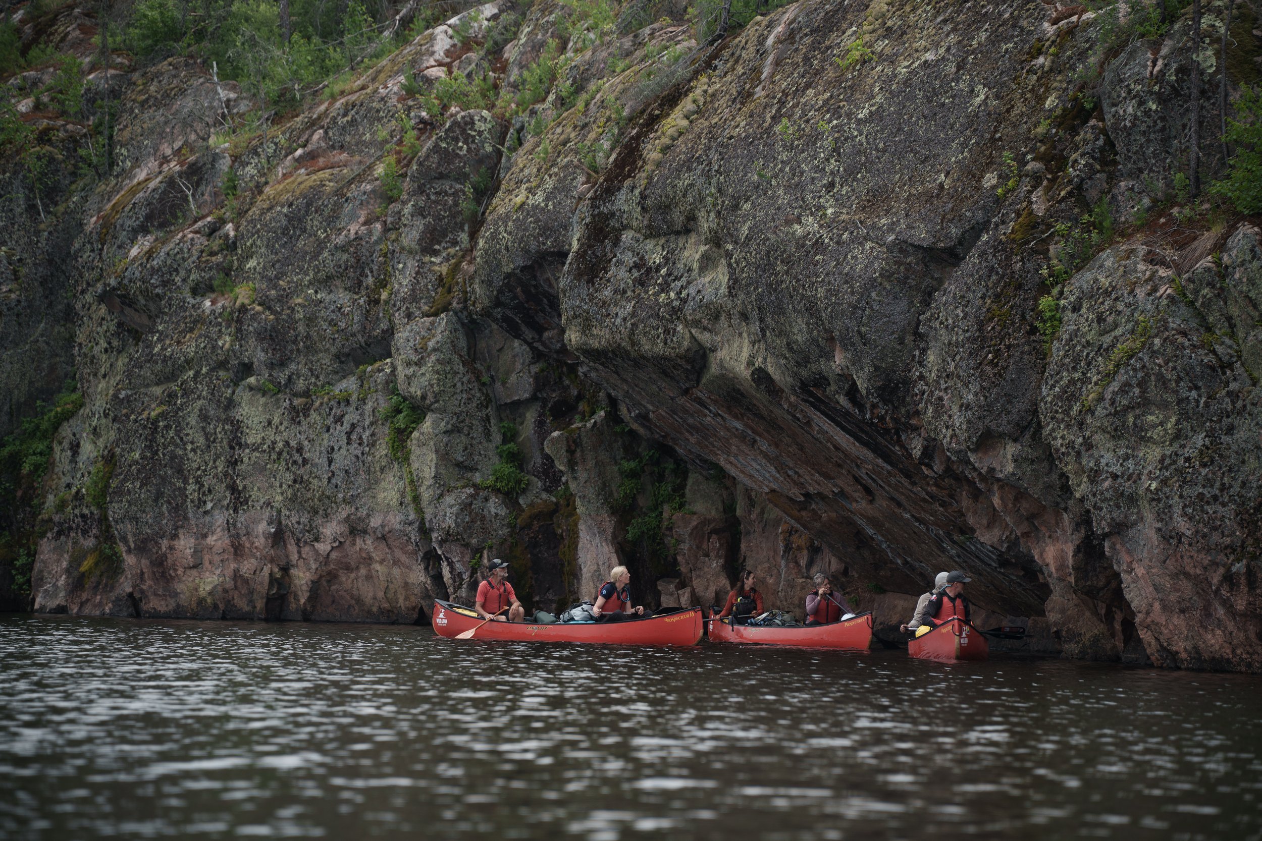 -WildHouseMedia6_DSC2555.jpg