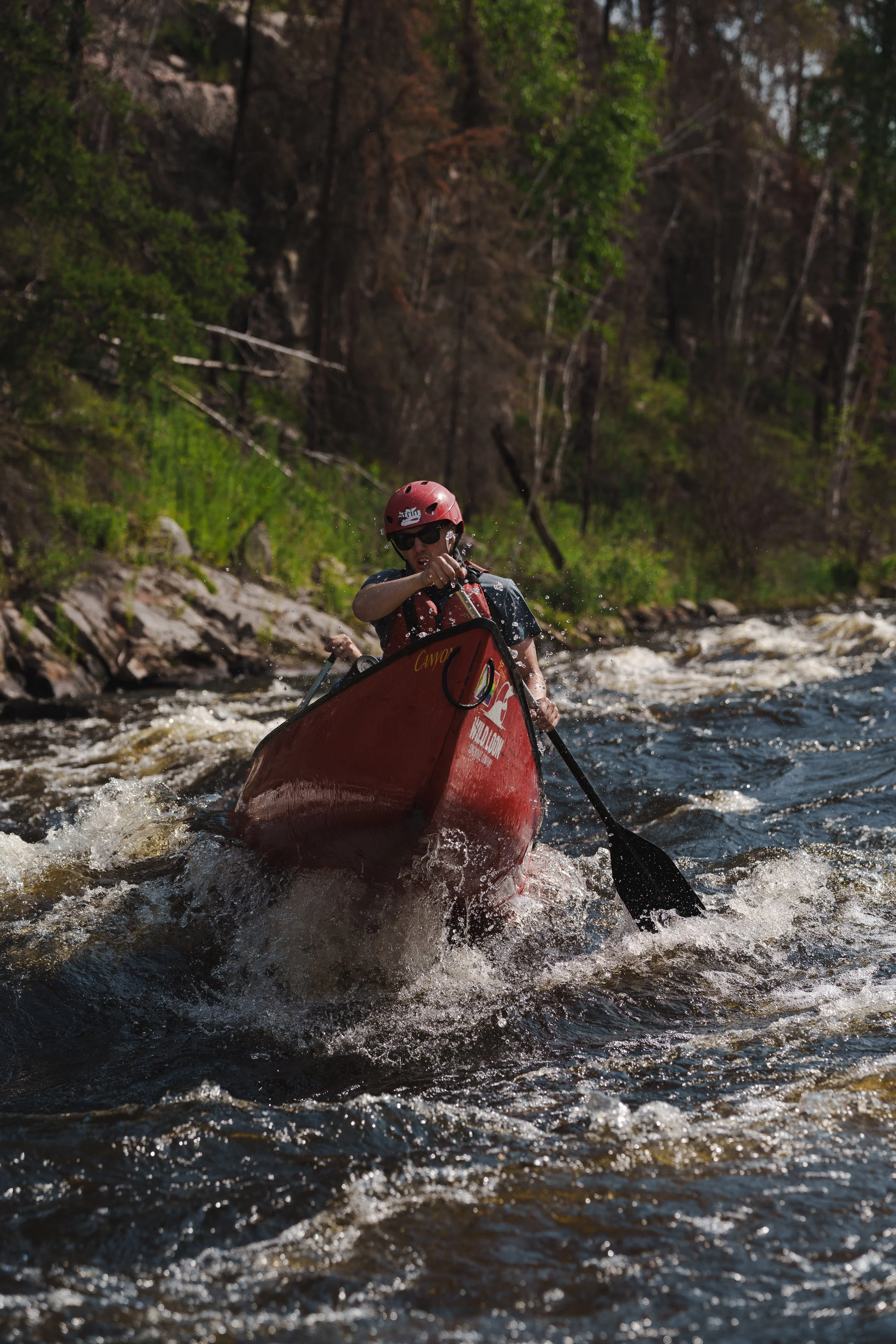 -WildHouseMedia4_DSC2490.jpg