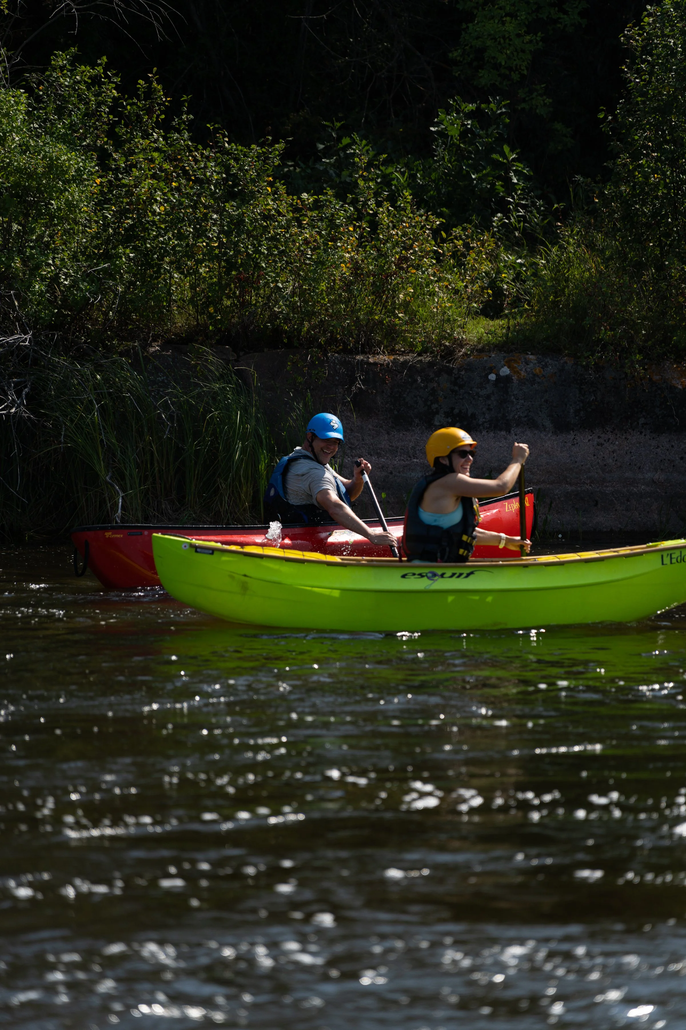 -WildHouseMedia2_DSC5772.jpg