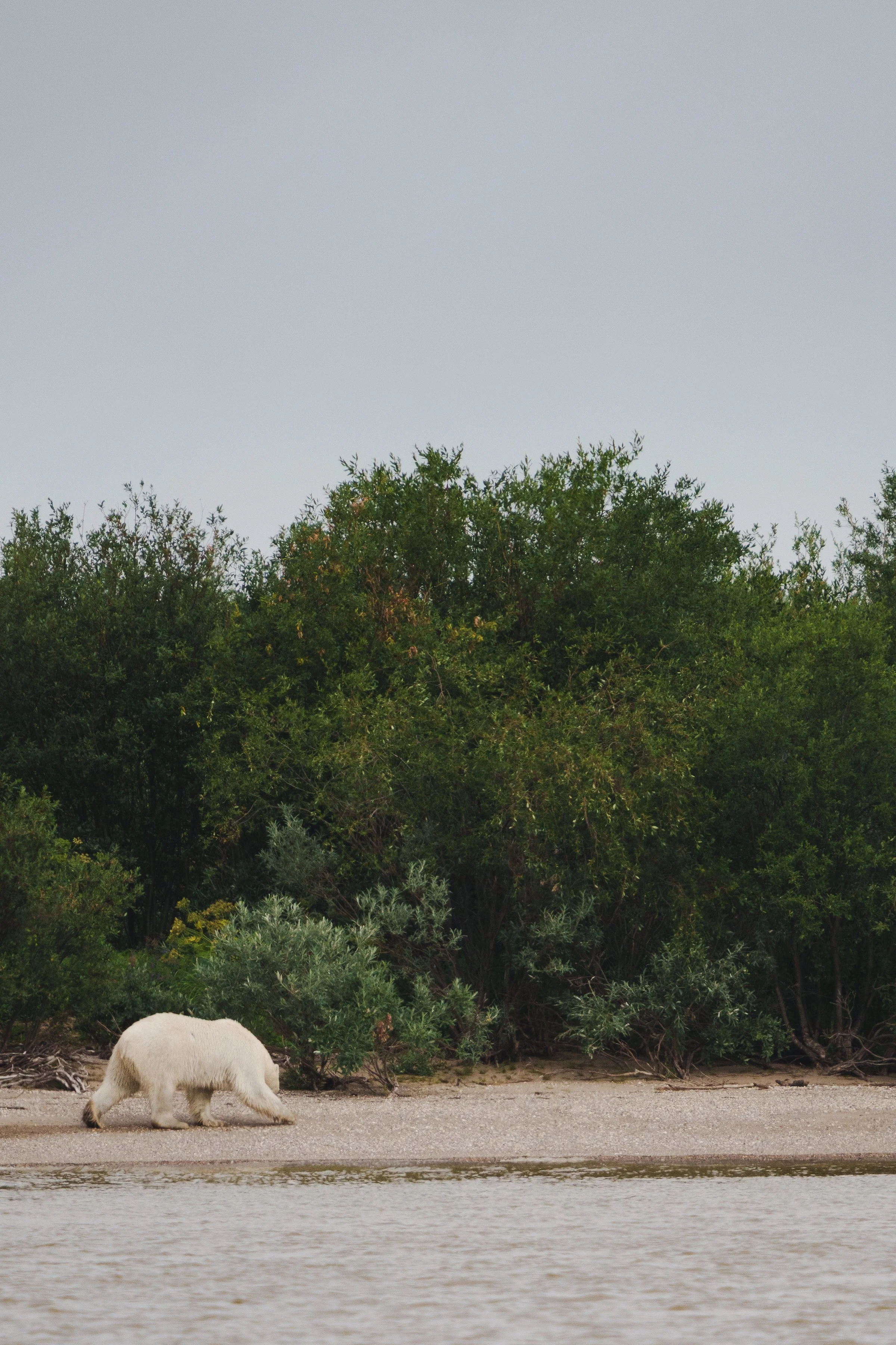 -WildHouseMedia22_DSC4086.jpg