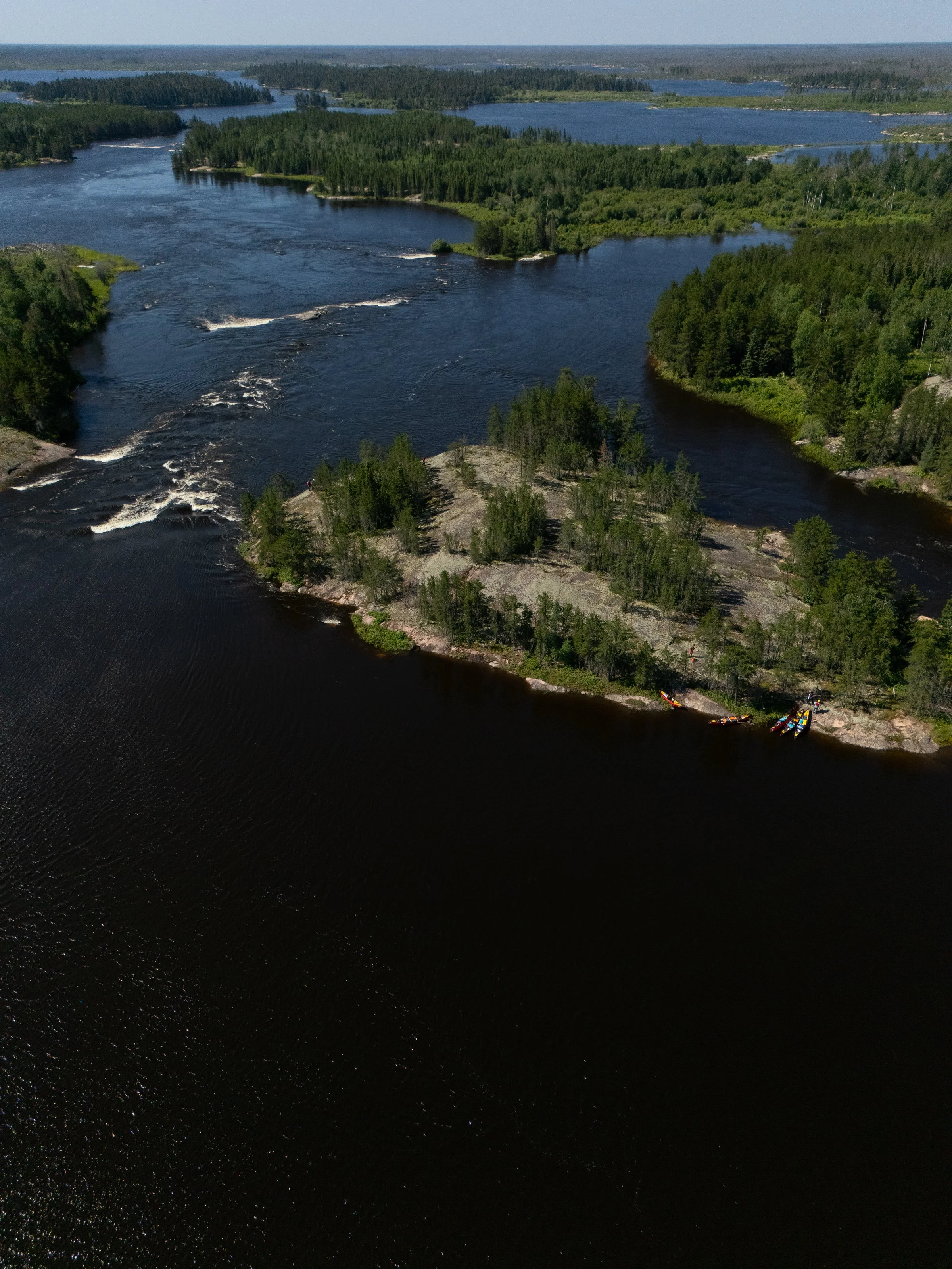 -WildHouseMedia17DJI_20260705104815_0117_D.jpg