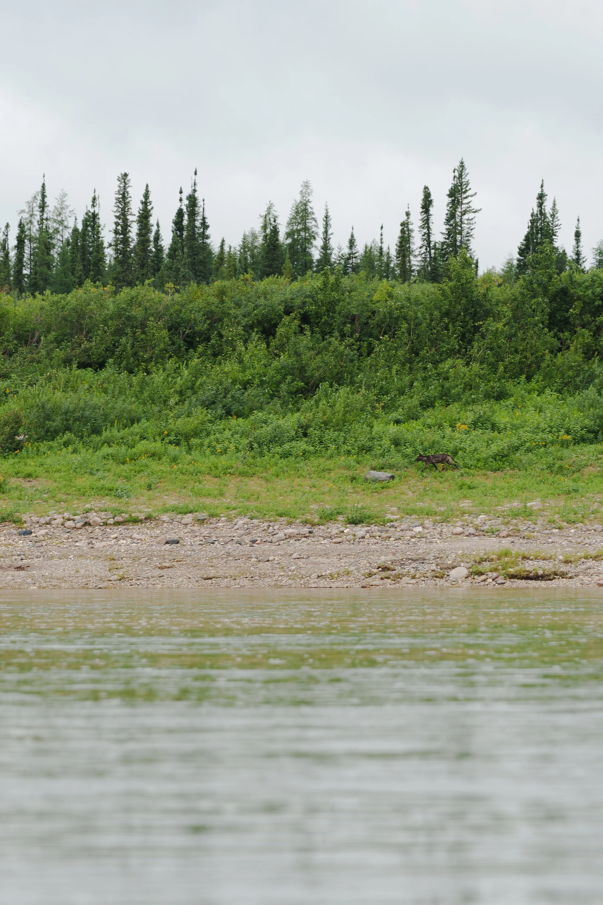 -WildHouseMedia11_DSC3716.jpg