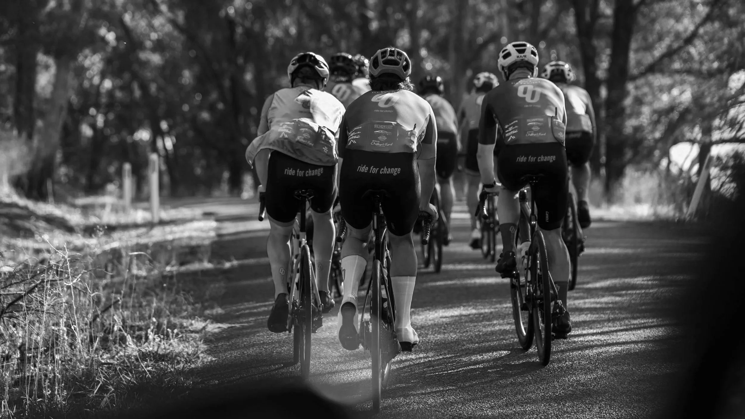 A group of cyclists riding on a paved road through a wooded area, viewed from behind in black and white.