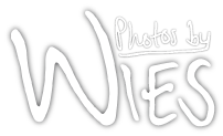 Photos By Wies