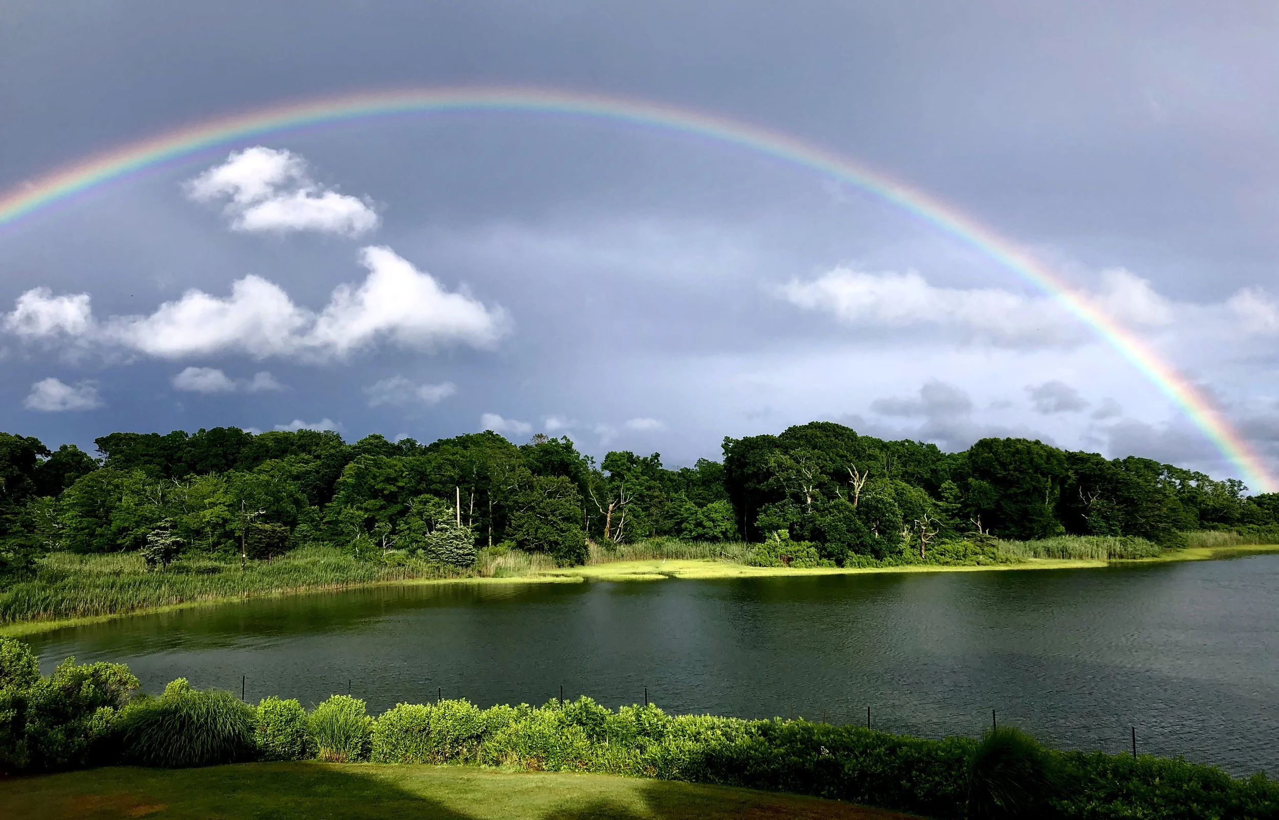 Scenic view of a lake with lush green trees on the shoreline, a rainbow arching across the cloudy sky, and a green grassy area in the foreground.