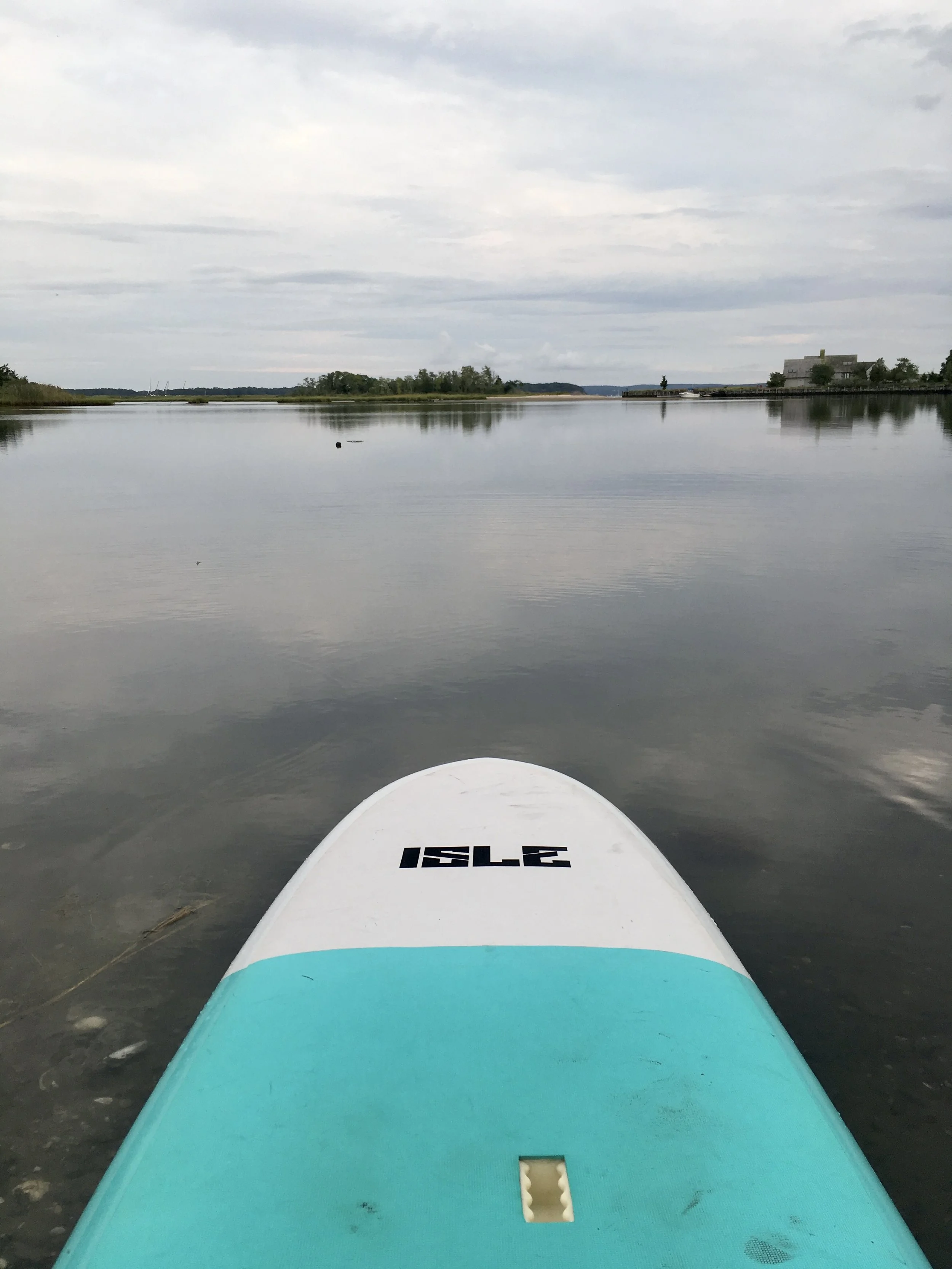 A view from a paddleboard on calm water, with a landscape of trees, a house, and an overcast sky in the distance.