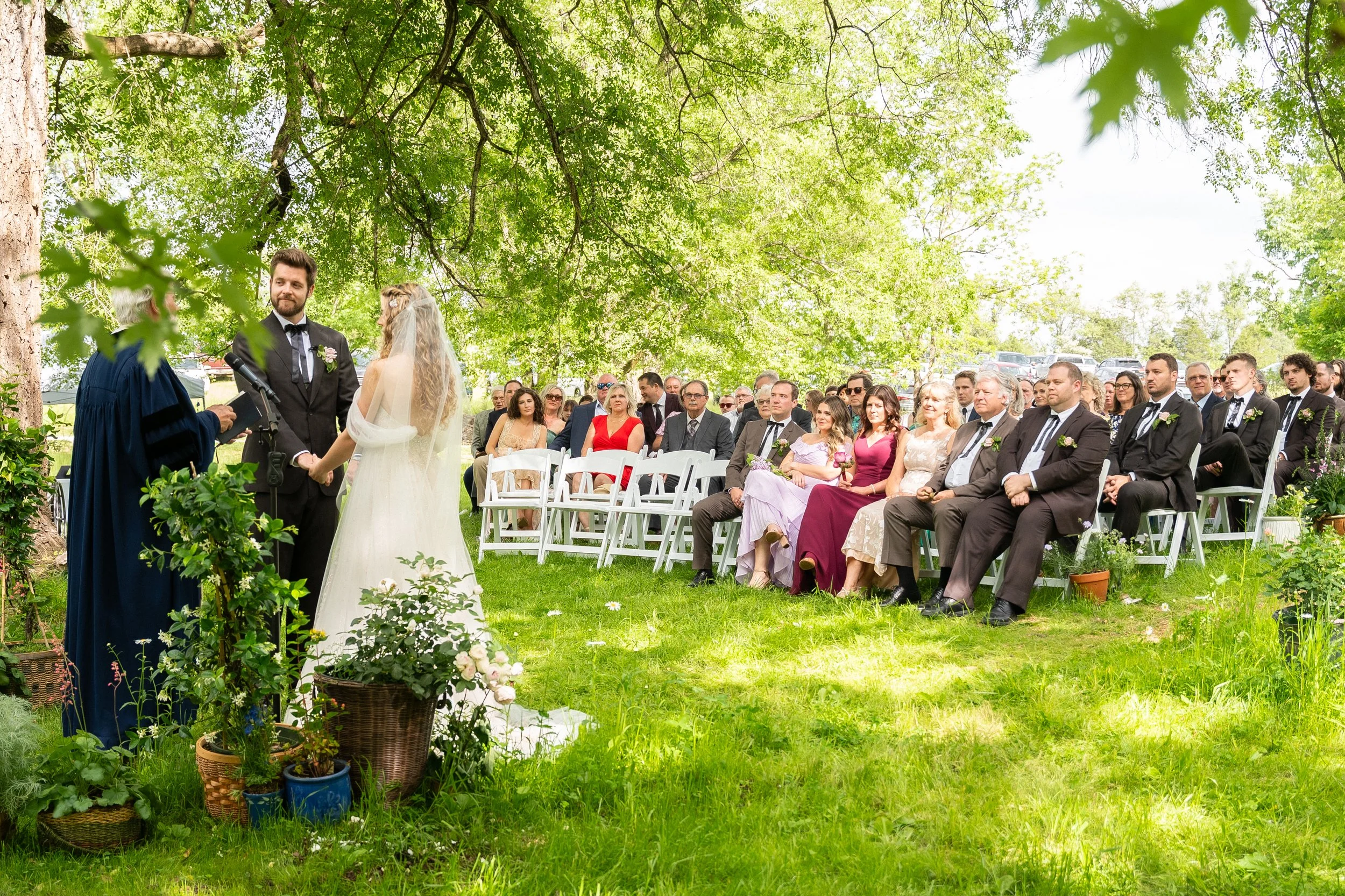 An outdoor wedding ceremony taking place under a large leafy tree on a sunny day, with the bride and groom exchanging vows in front of a judge, surrounded by seated guests.