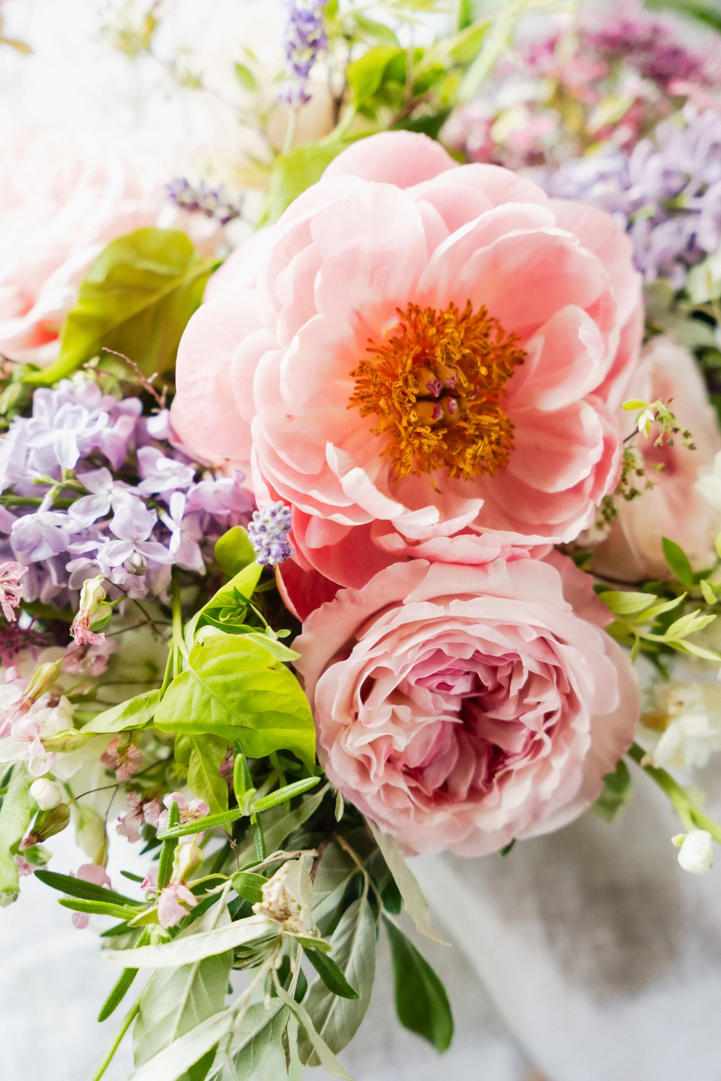 K+B_FinalWeddingGallery_5-17-25_SoggyDoggyFarm_Shephardstown- Photo_Video_Western_Maryland_Frederick_Hagerstown_West_Virginia_Weddings_Peyton_Olivia_Studios_POS_2025-485.jpg