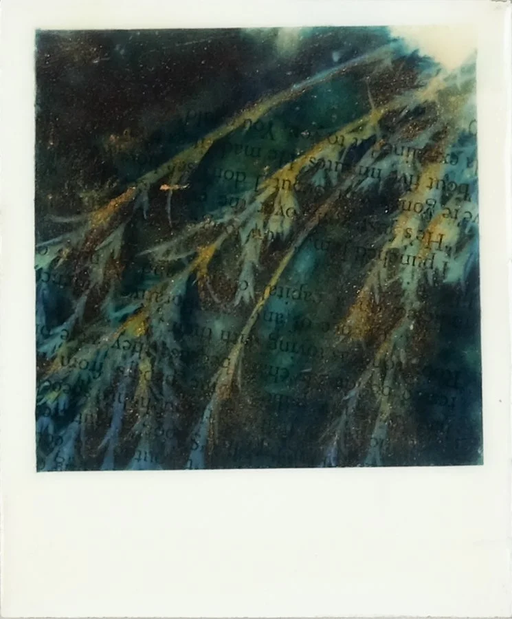 LKR-BotanicalWhispers3B.jpg