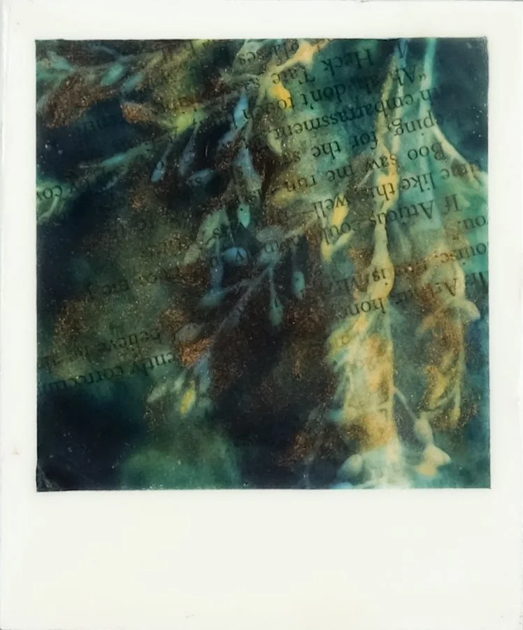 LKR-BotanicalWhispers4B.jpg