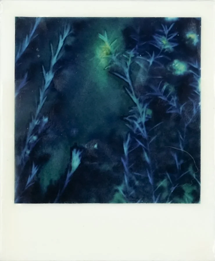 LKR-BotanicalWhispers3A.jpg