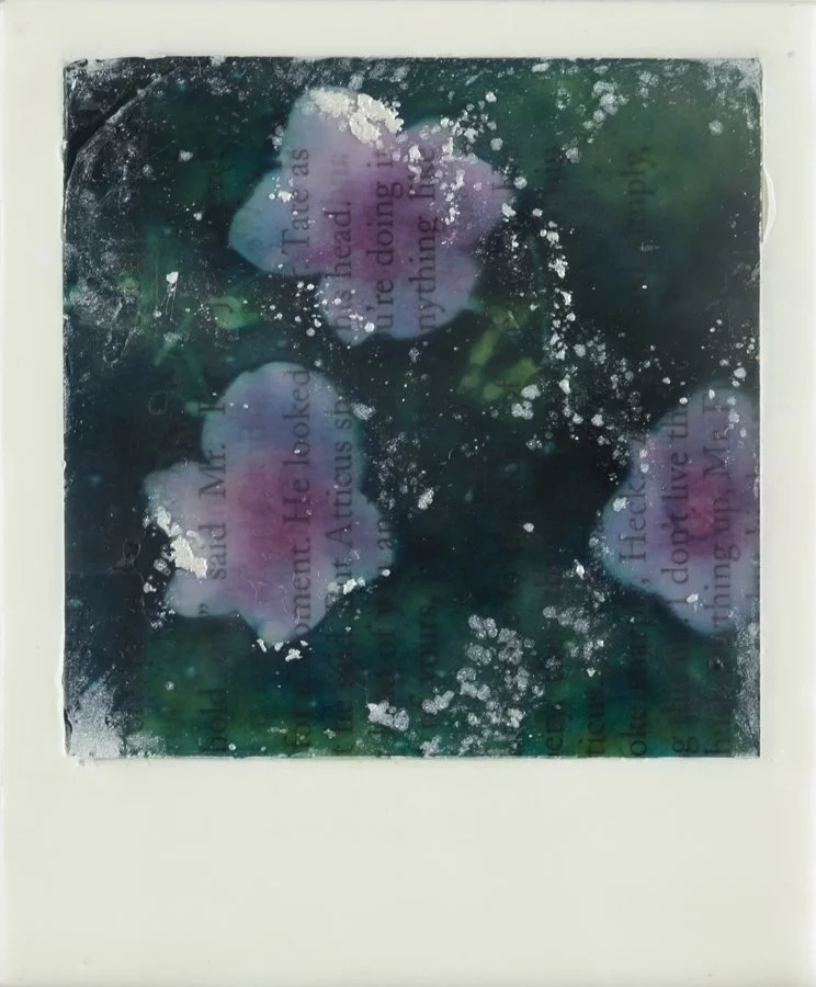 LKR-FloralRemnants1.jpg