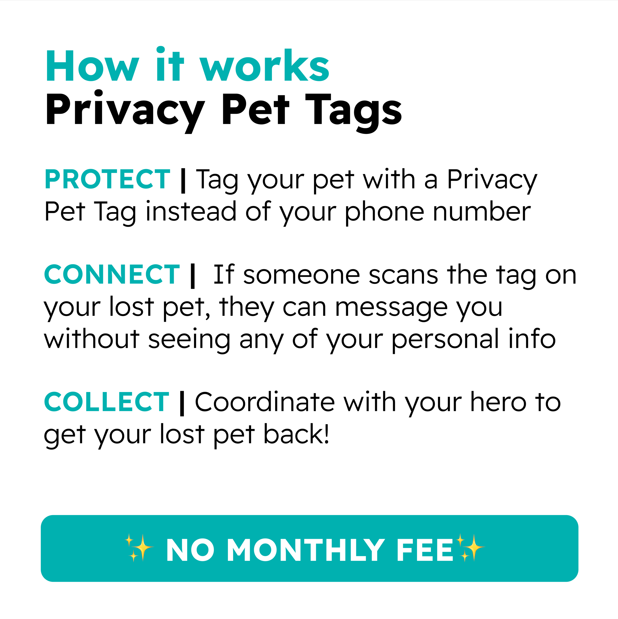 Pet Tag Image 12.png