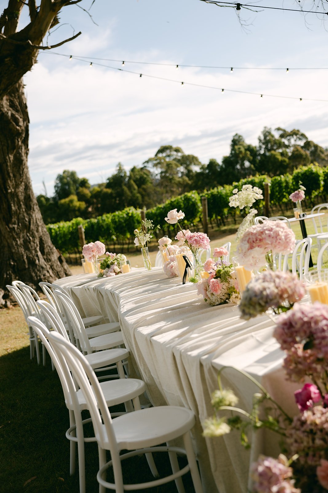 RGS_S+L_Previews222_websize 2.JPG