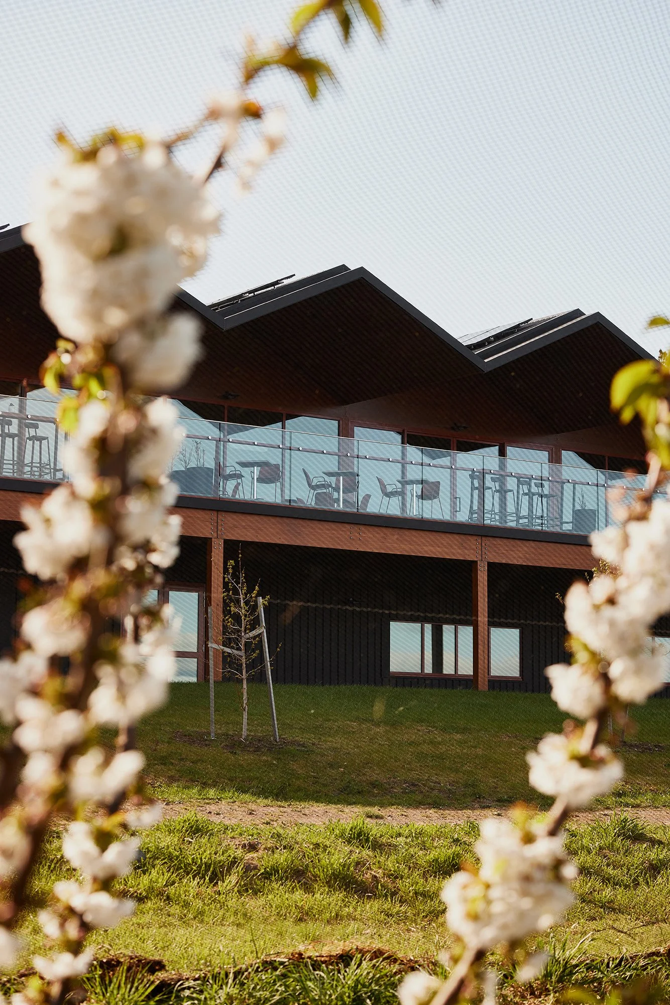 Iron Creek Bay Estate - Photo: Wild Soul Photo Co