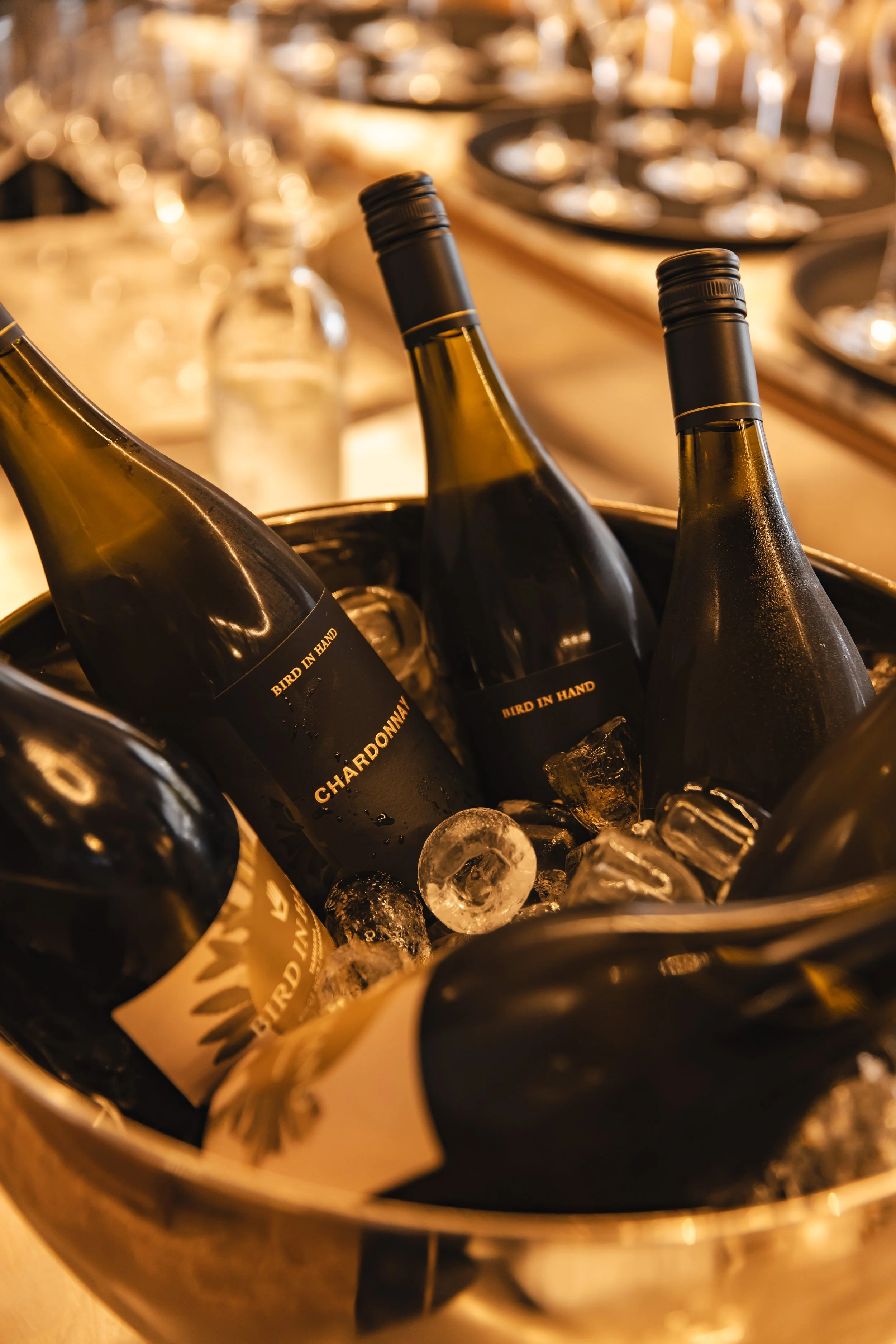 Bird in Hand - Photo: Dearna Bond