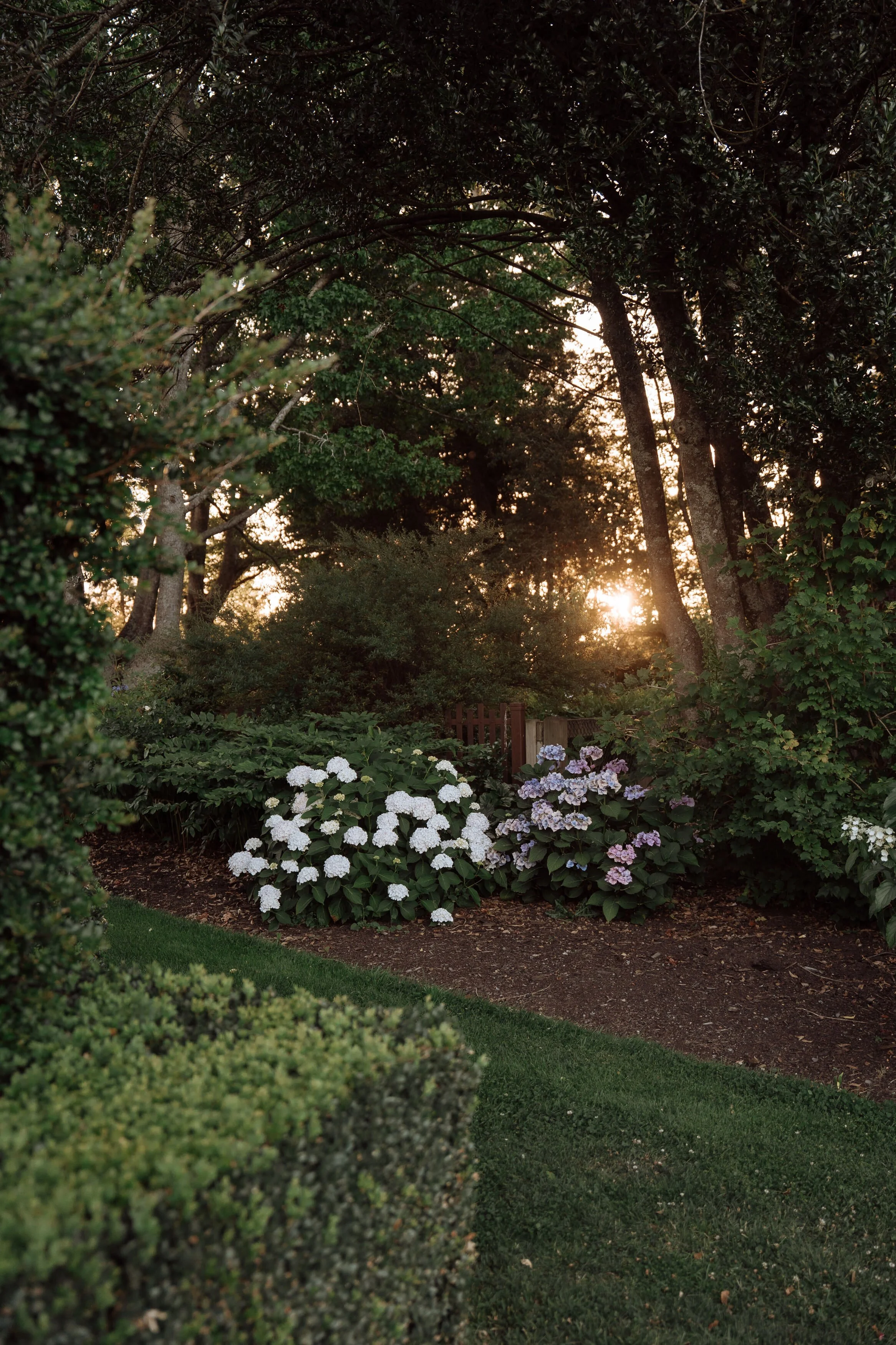 ELLE MARK - CALSTOCK ENG-198.JPG