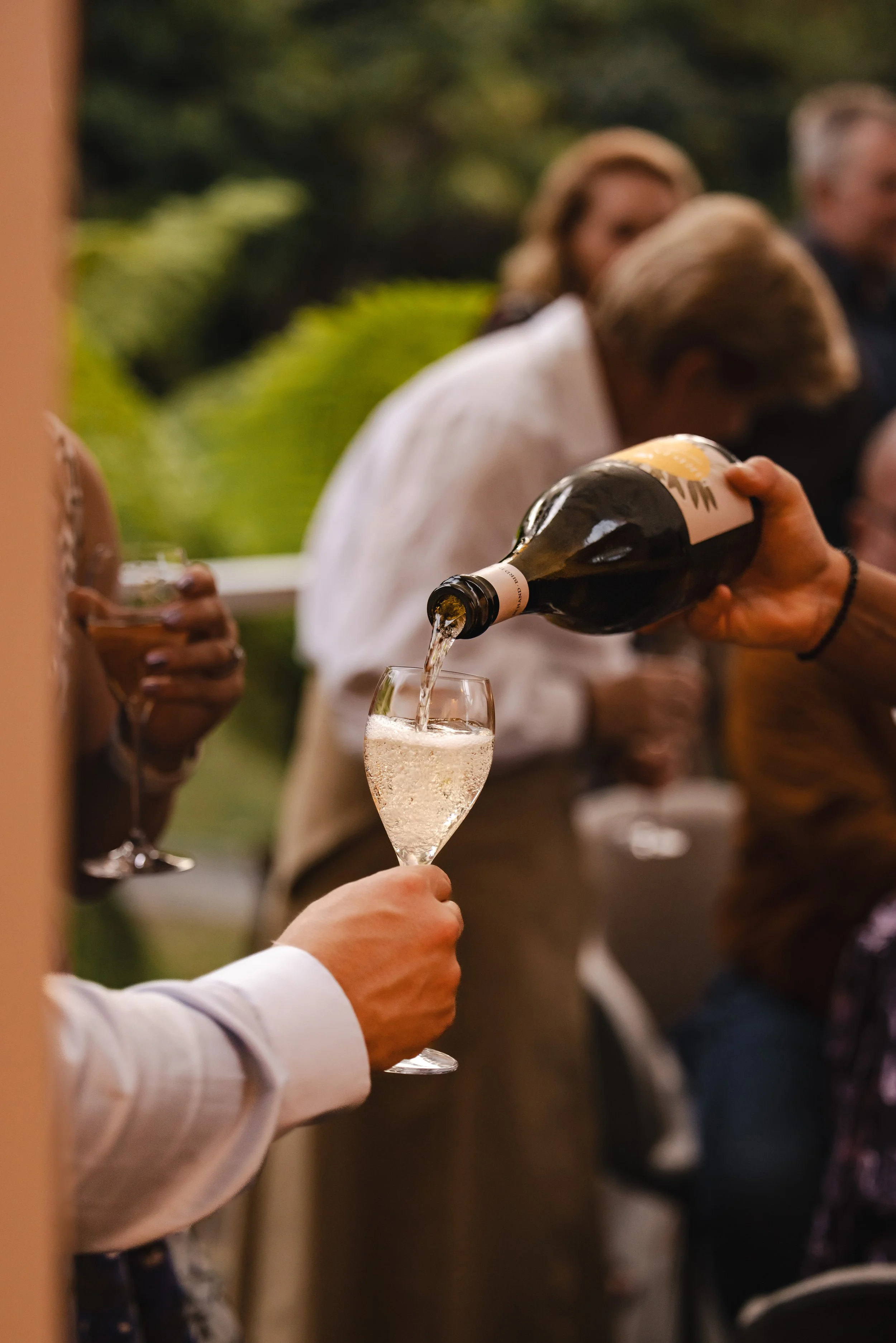 Bird in Hand - Photo: Dearna Bond