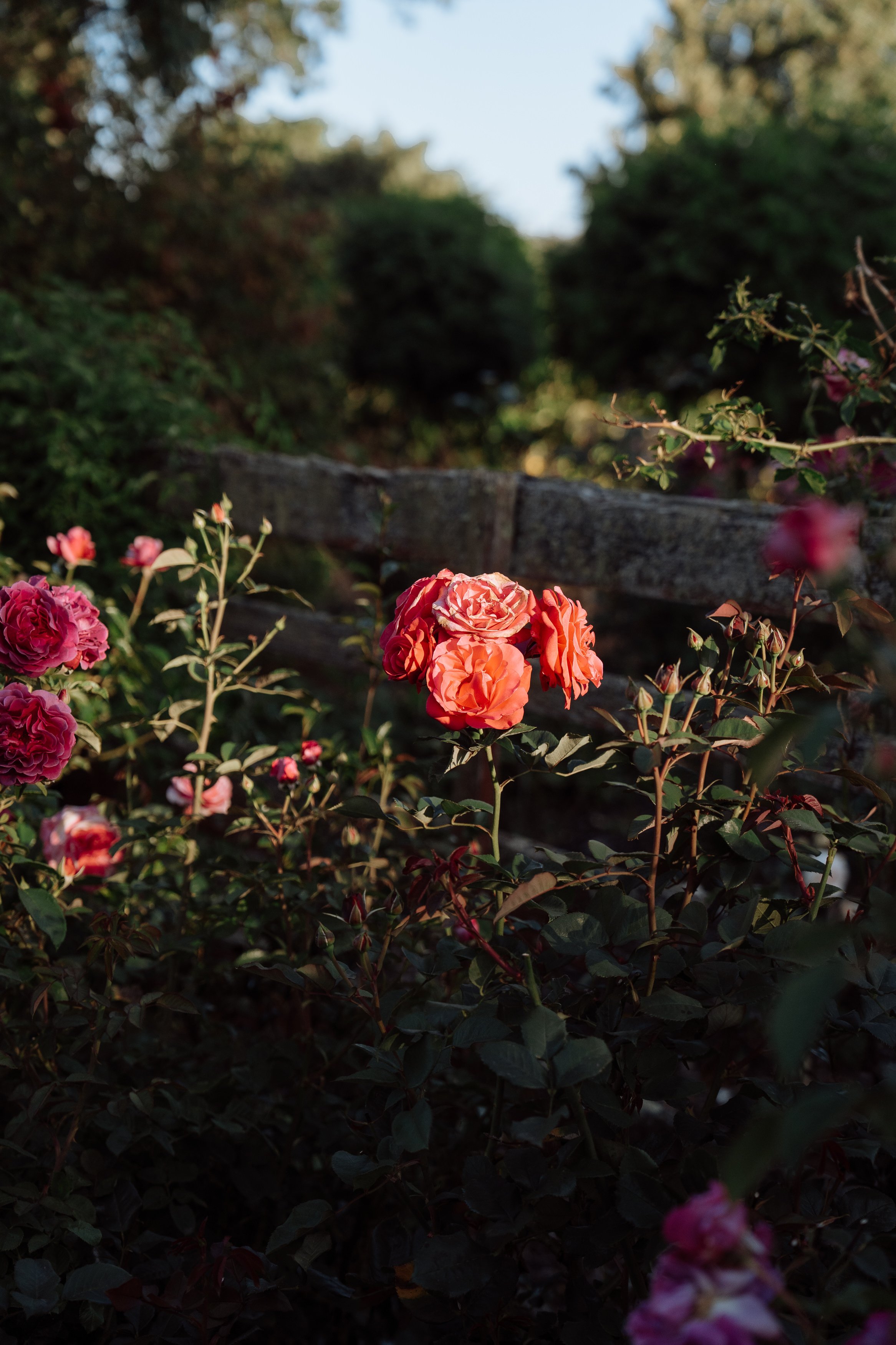 ELLE MARK - CALSTOCK ENG-116.JPG