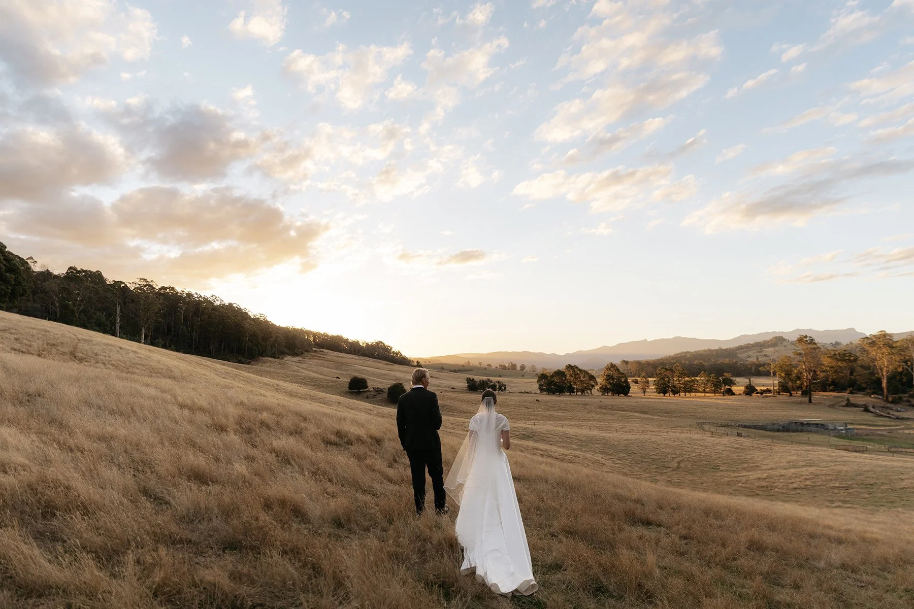 Wesley Dale - Photo: Ali Bailey