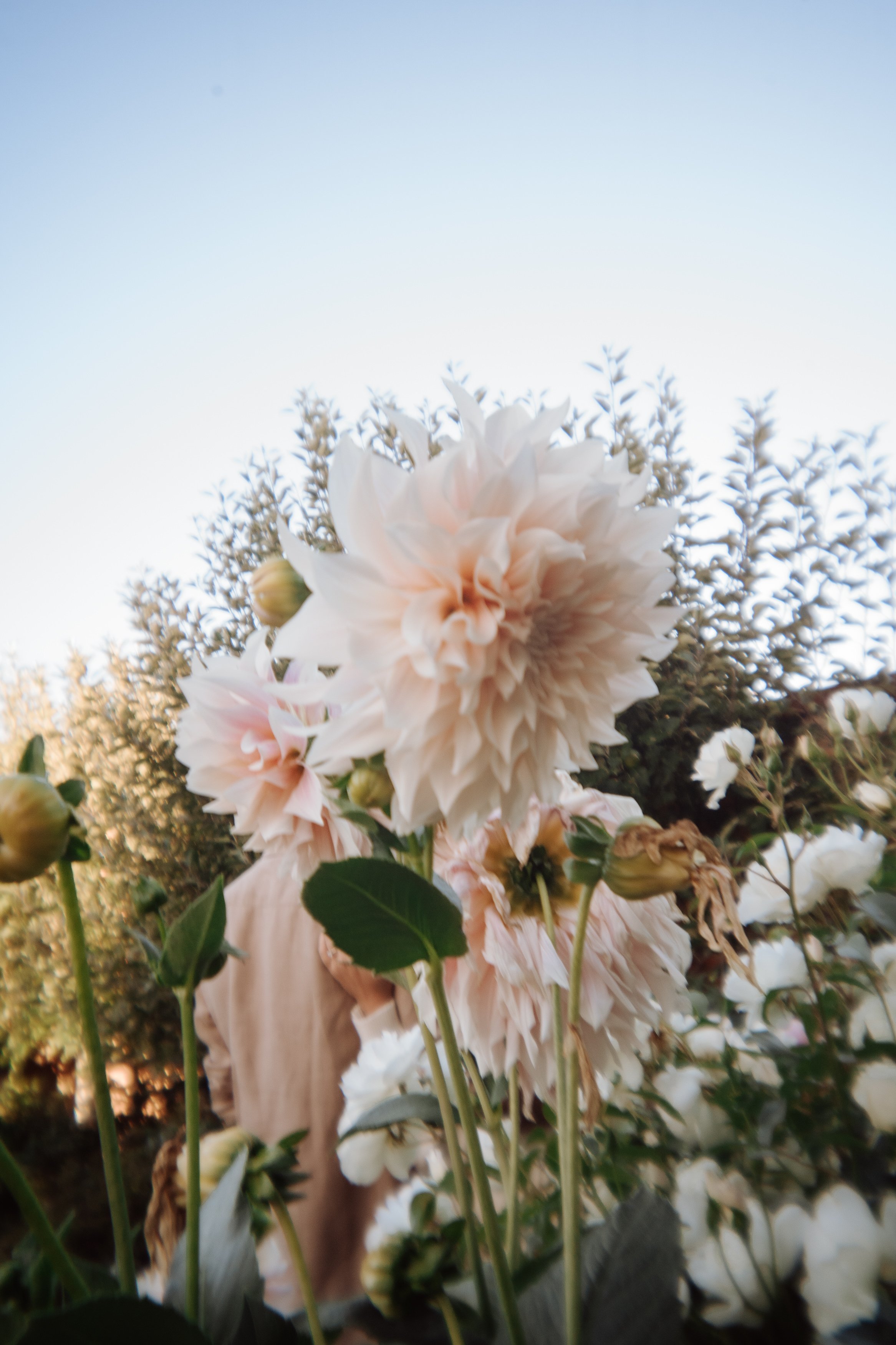 ELLE MARK - CALSTOCK ENG-165.JPG