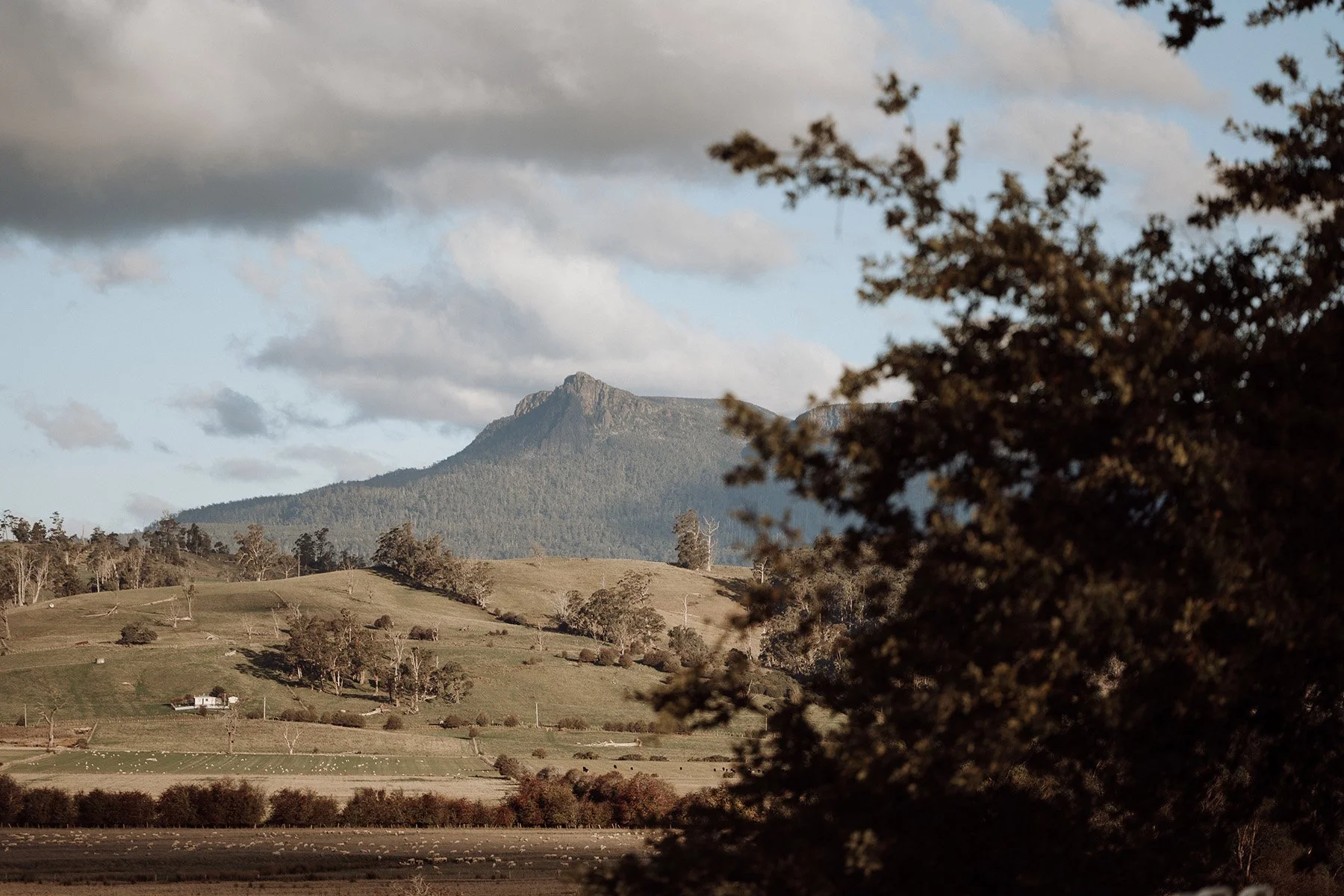 Wesley Dale - Photo: Doxa Visual