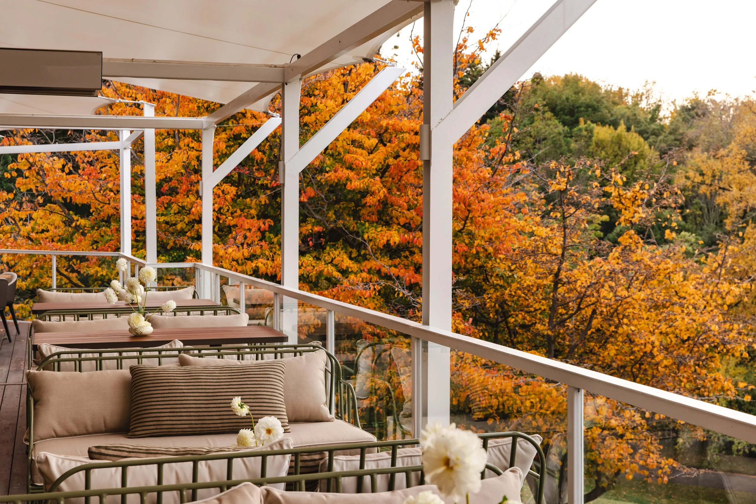 Bird in Hand - Photo: Dearna Bond