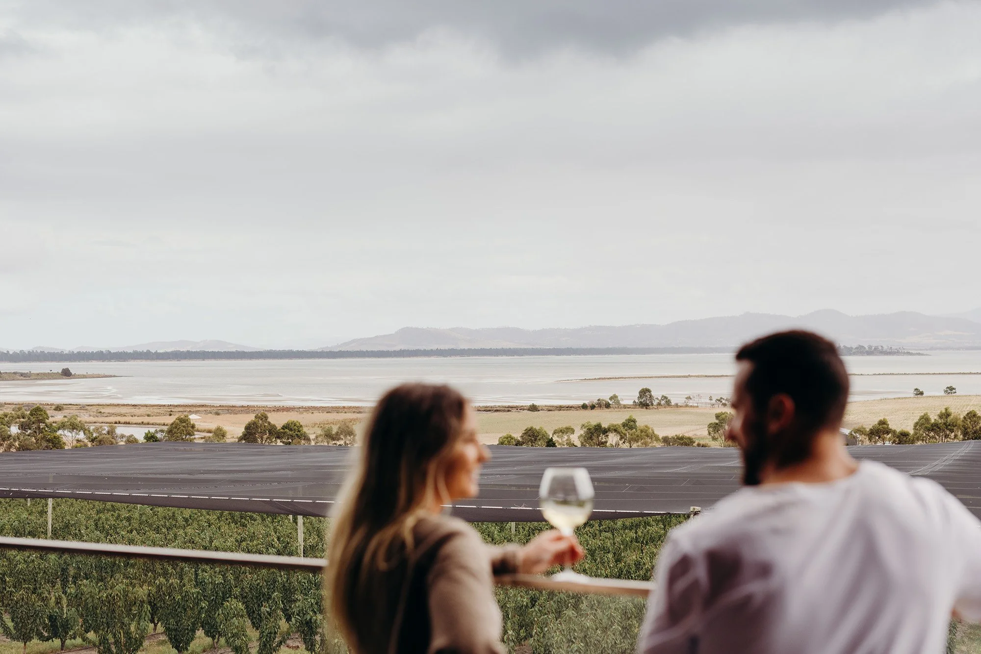 Iron Creek Bay Estate - Photo: Jess Oakenfull