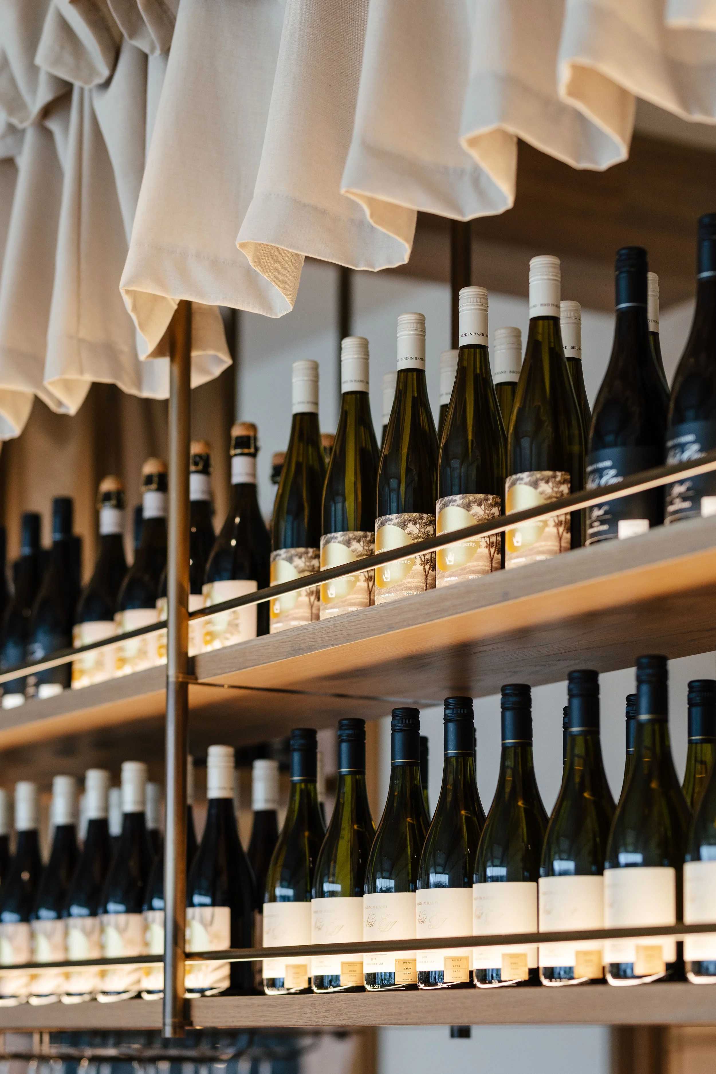 Bird in Hand - Photo: Adam Gibson