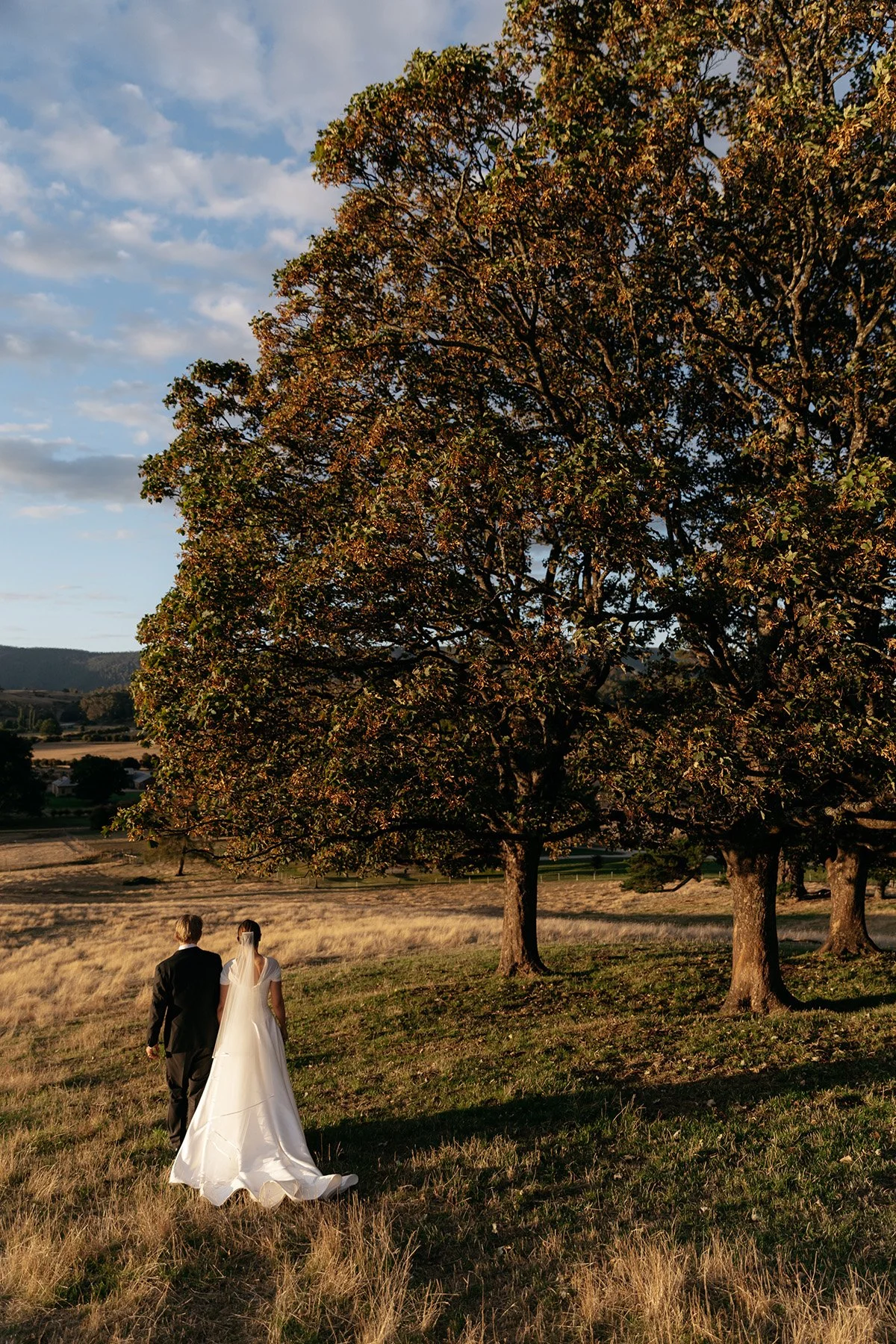 Wesley Dale - Photo: Ali Bailey