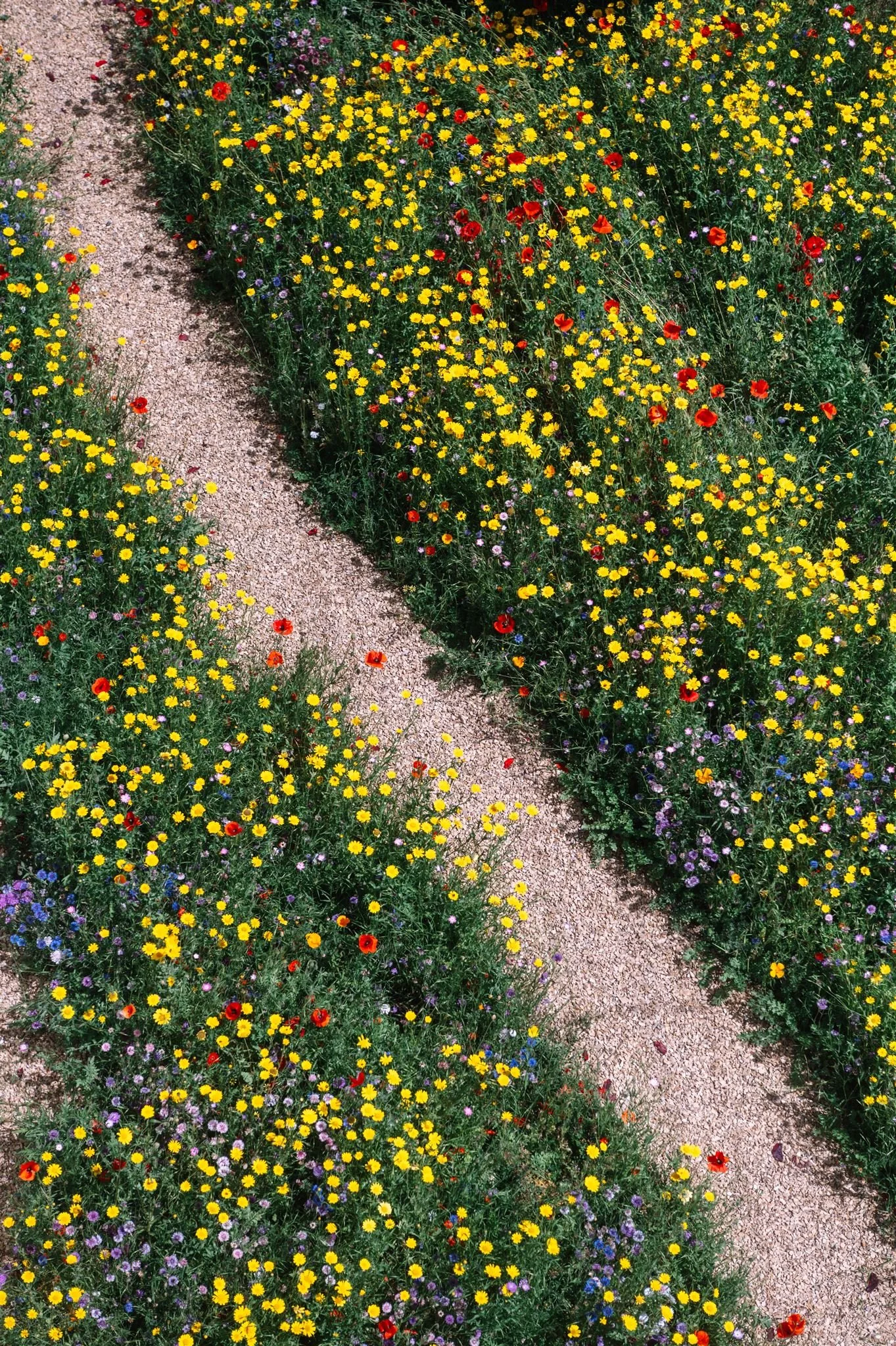 Palazzo Campania - Photo: Jonathan Wherrett
