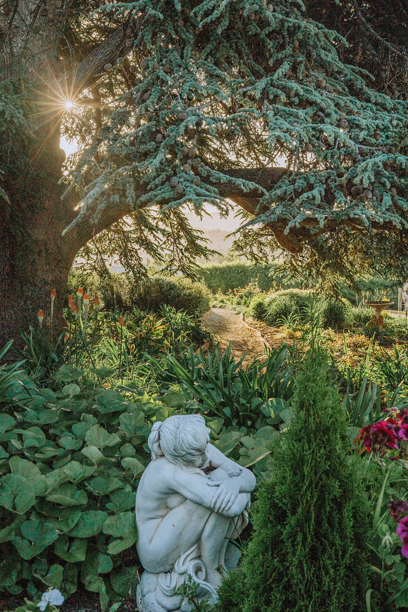 Maylands Lodge - Photo: Jacinda Hochman