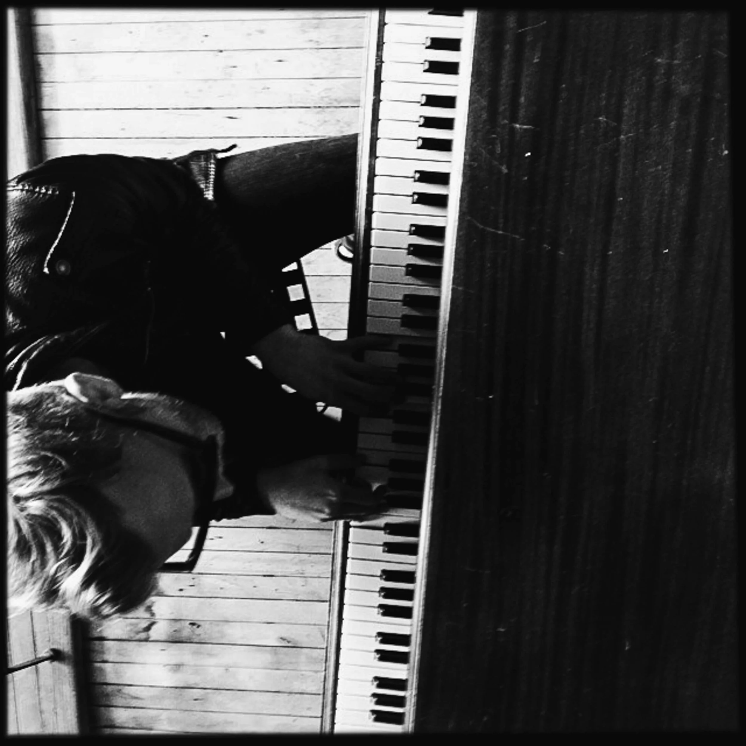 Shane J Cottle shanejcottle.com Image