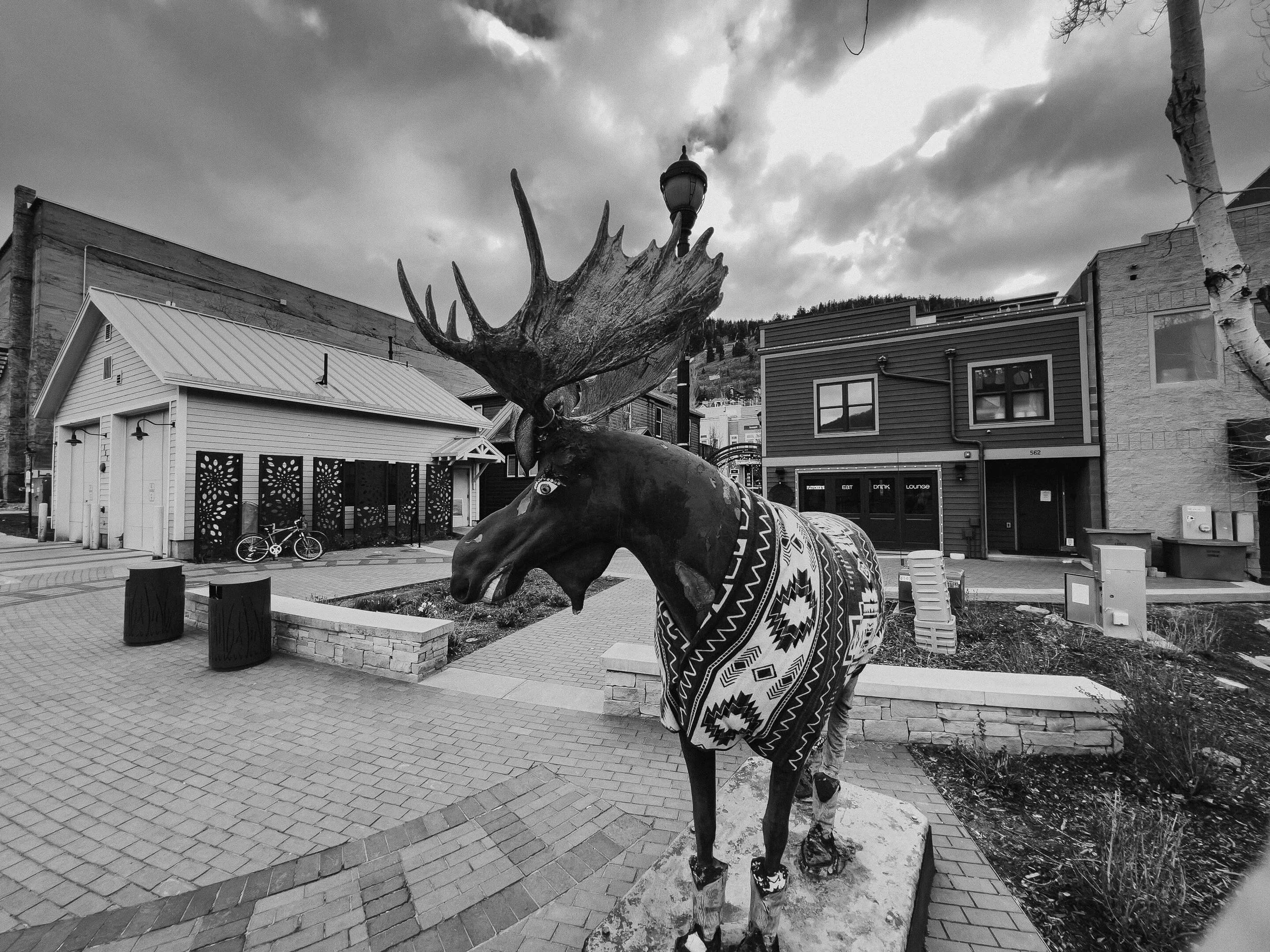 Shane J Cottle shanejcottle.com Image