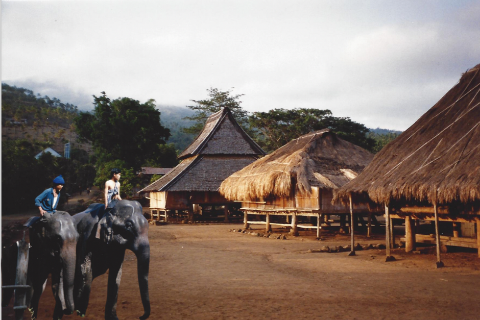 elephants.png