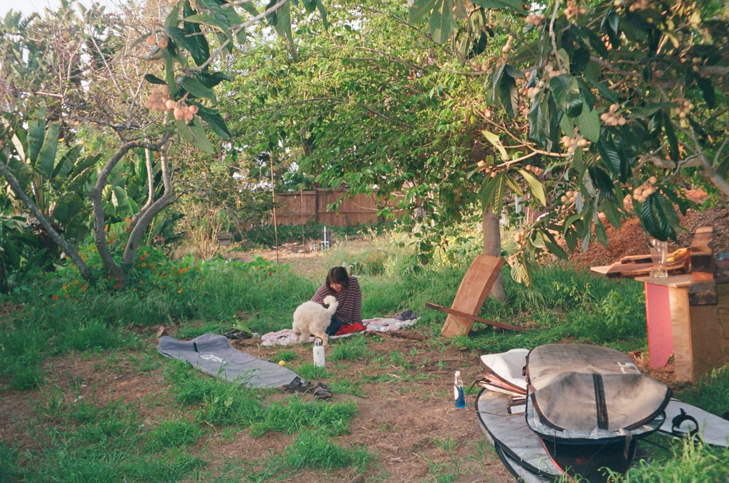 0009_###.jpg