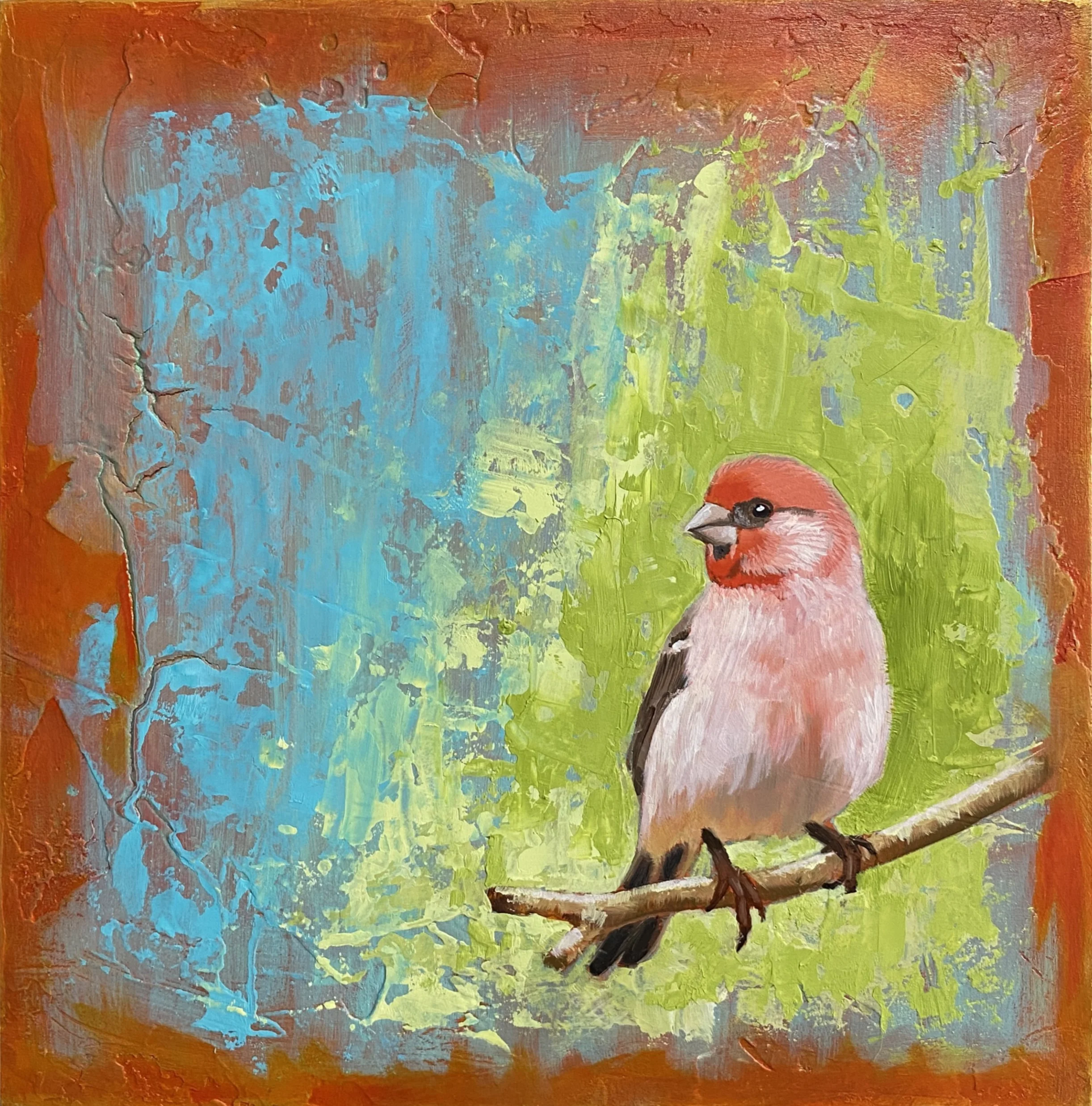Pretty Little Finch